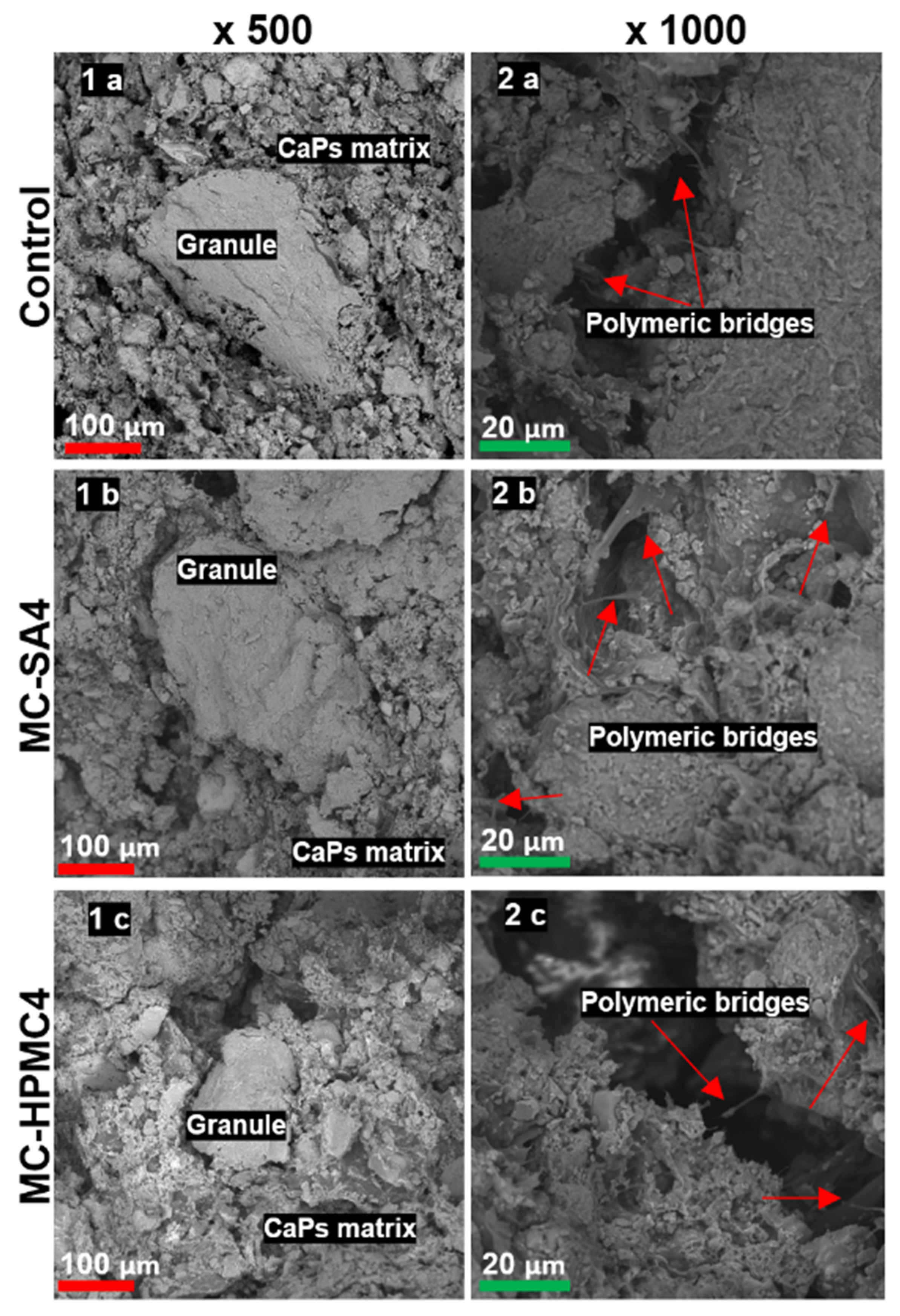 Materials 14 07496 g003