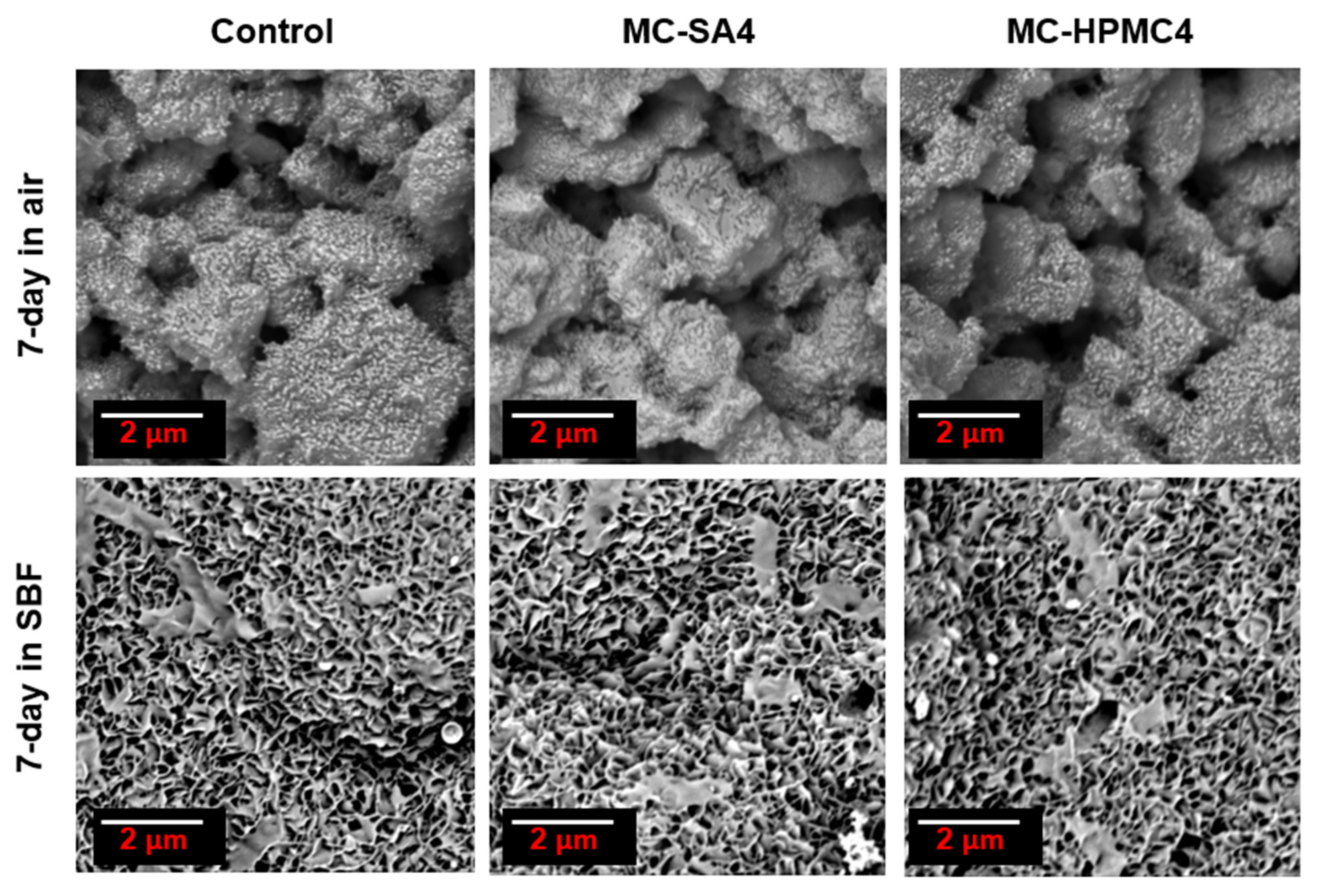 Materials 14 07496 g004