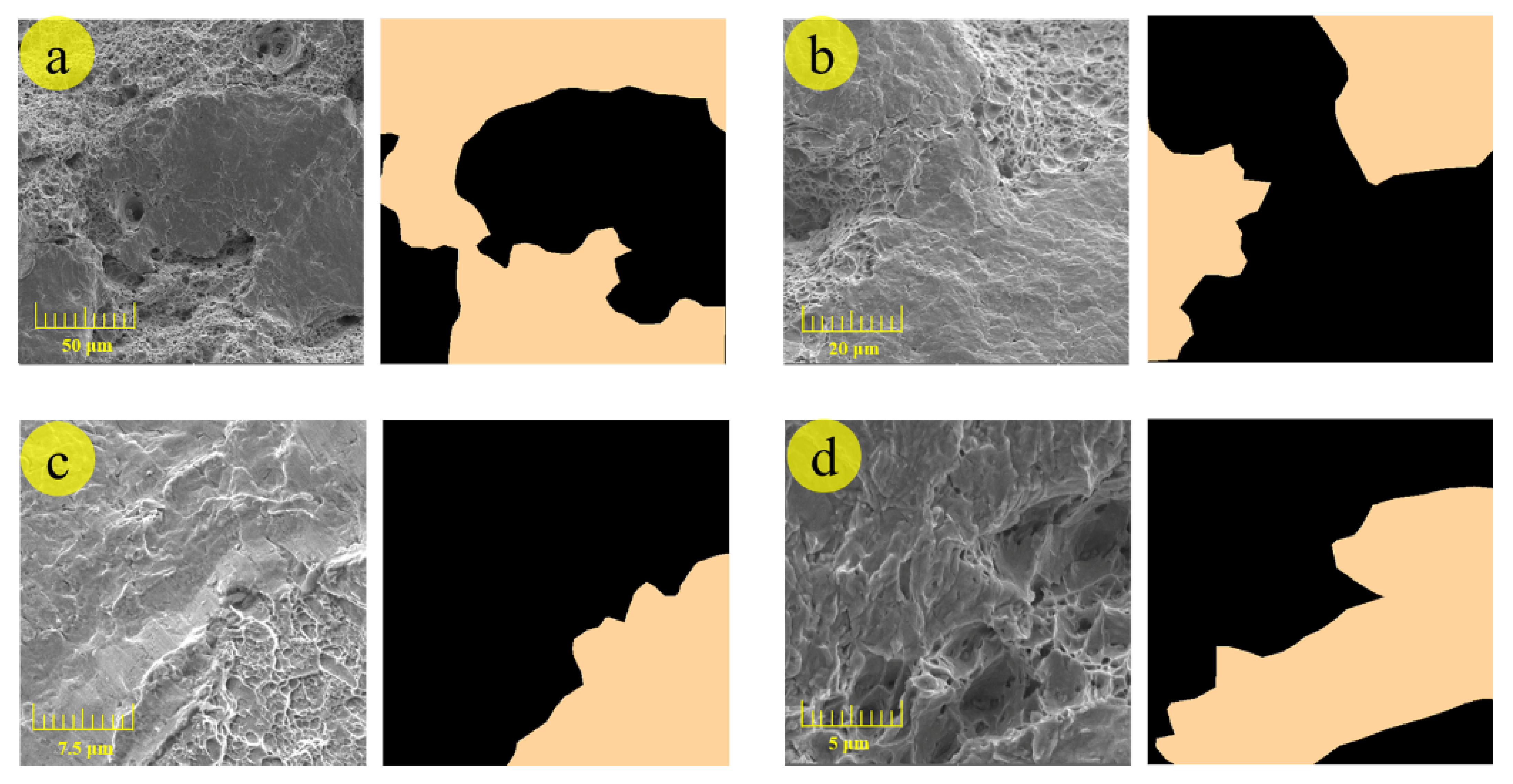 Materials 14 07504 g004 550