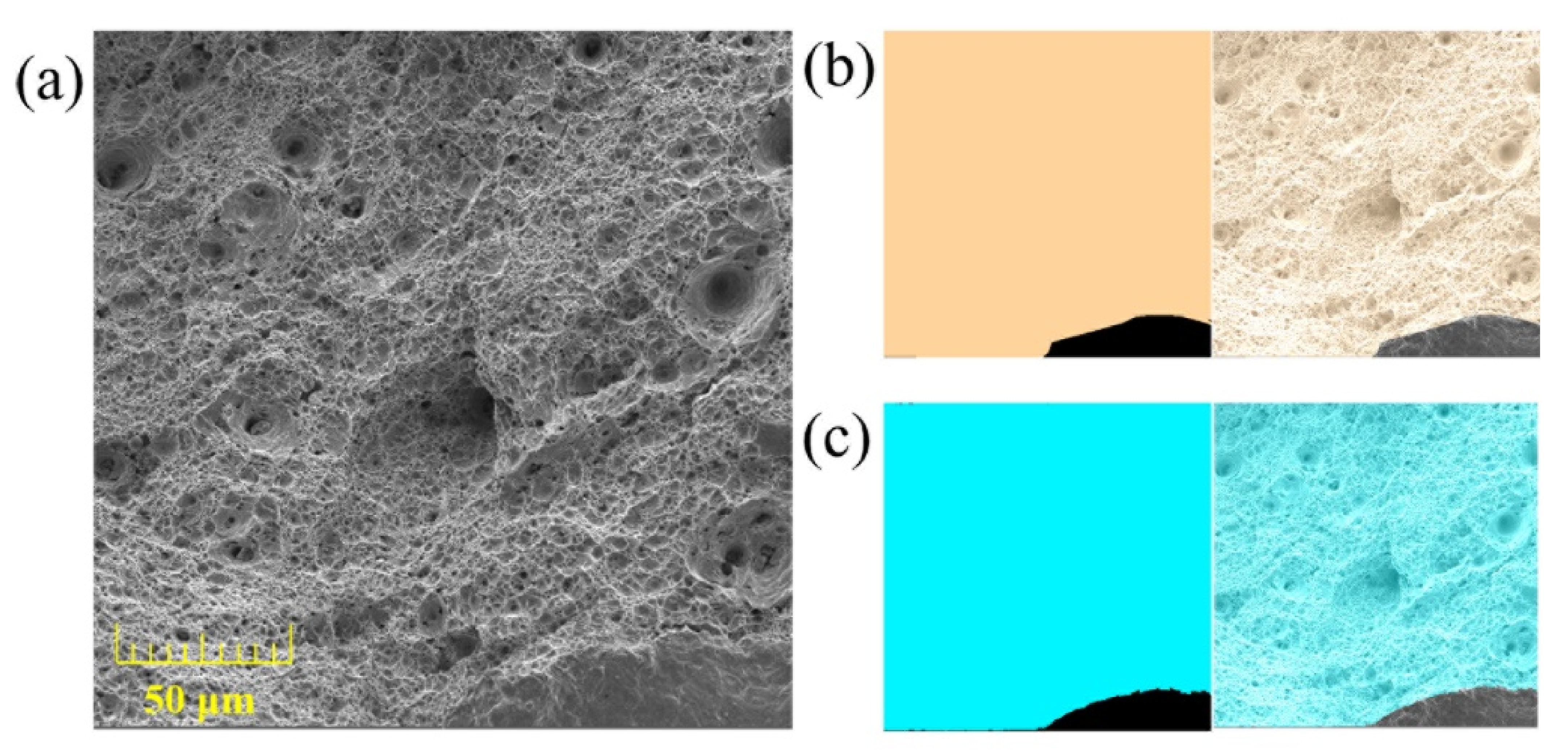 Materials 14 07504 g006 550