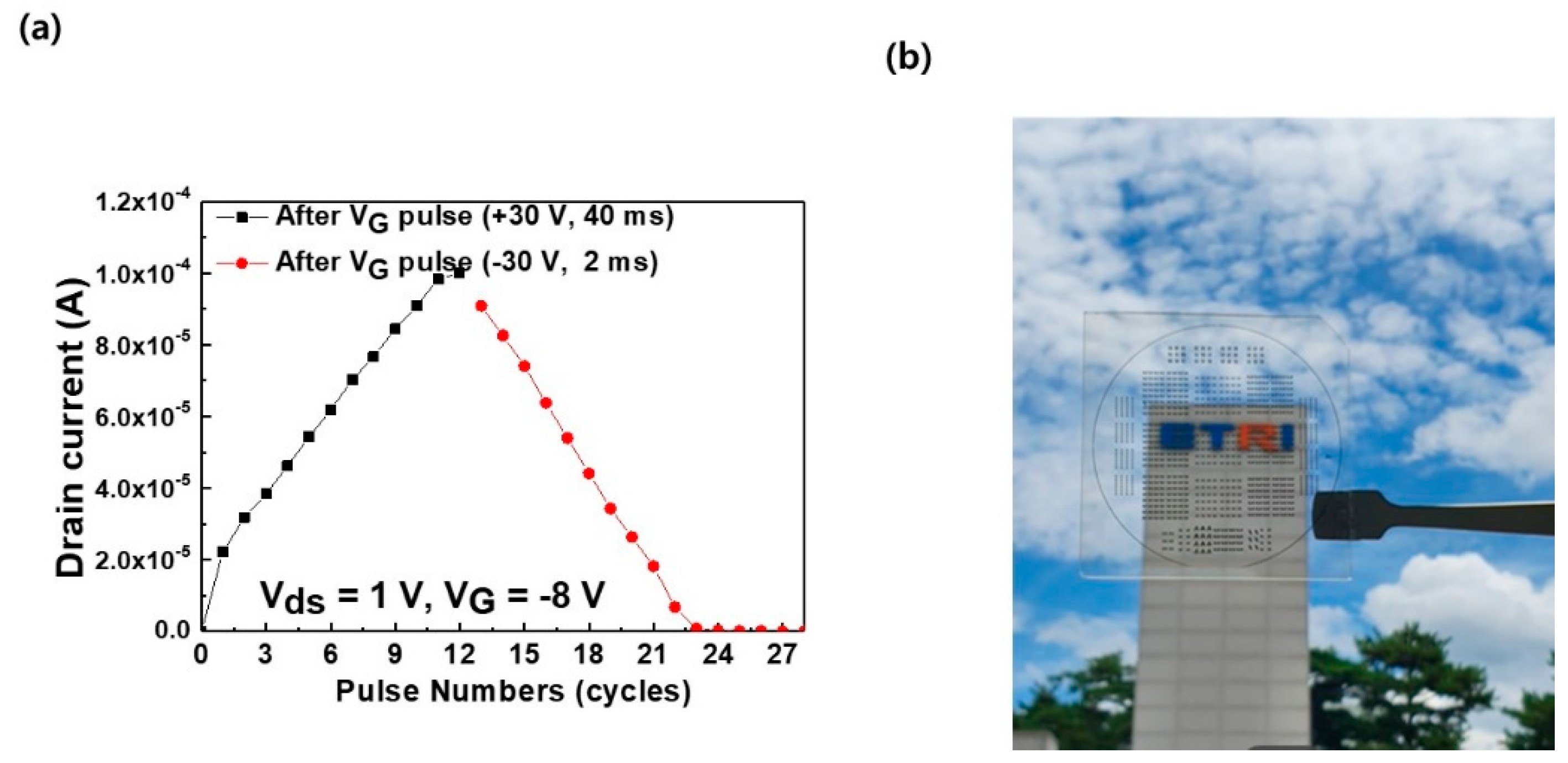 Materials 14 07508 g004