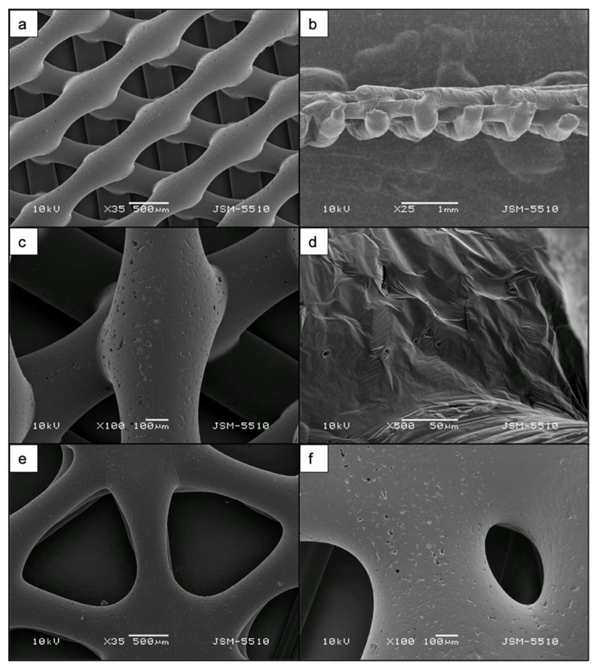 Materials 14 07513 g002