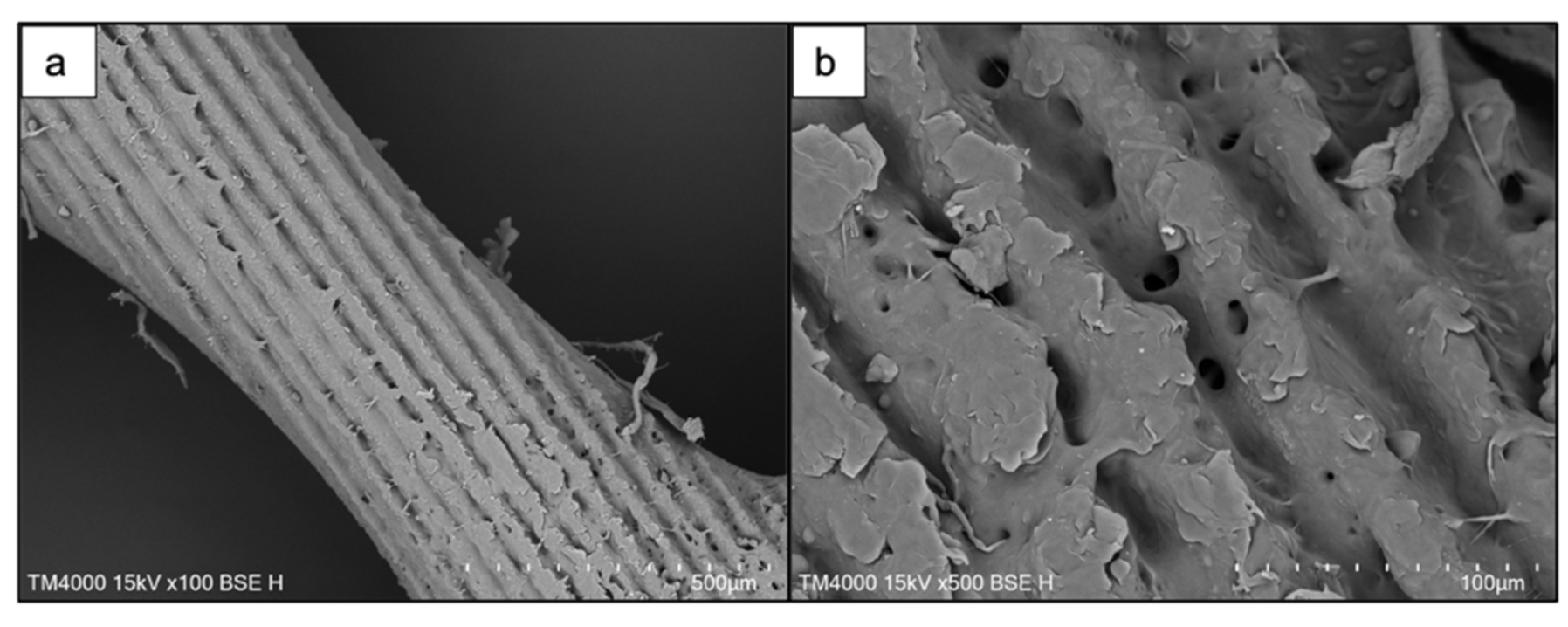 Materials 14 07513 g003