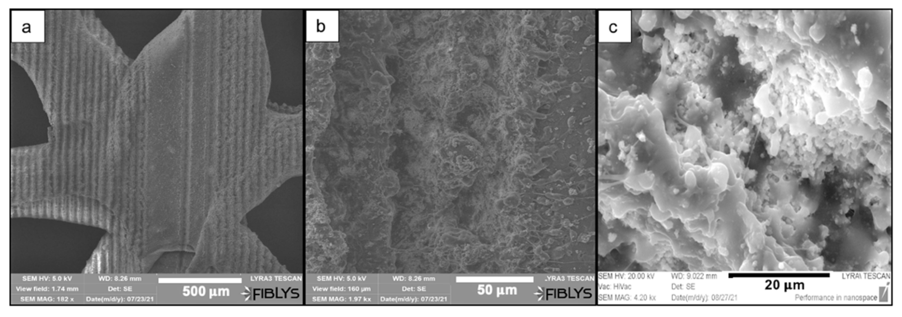 Materials 14 07513 g005