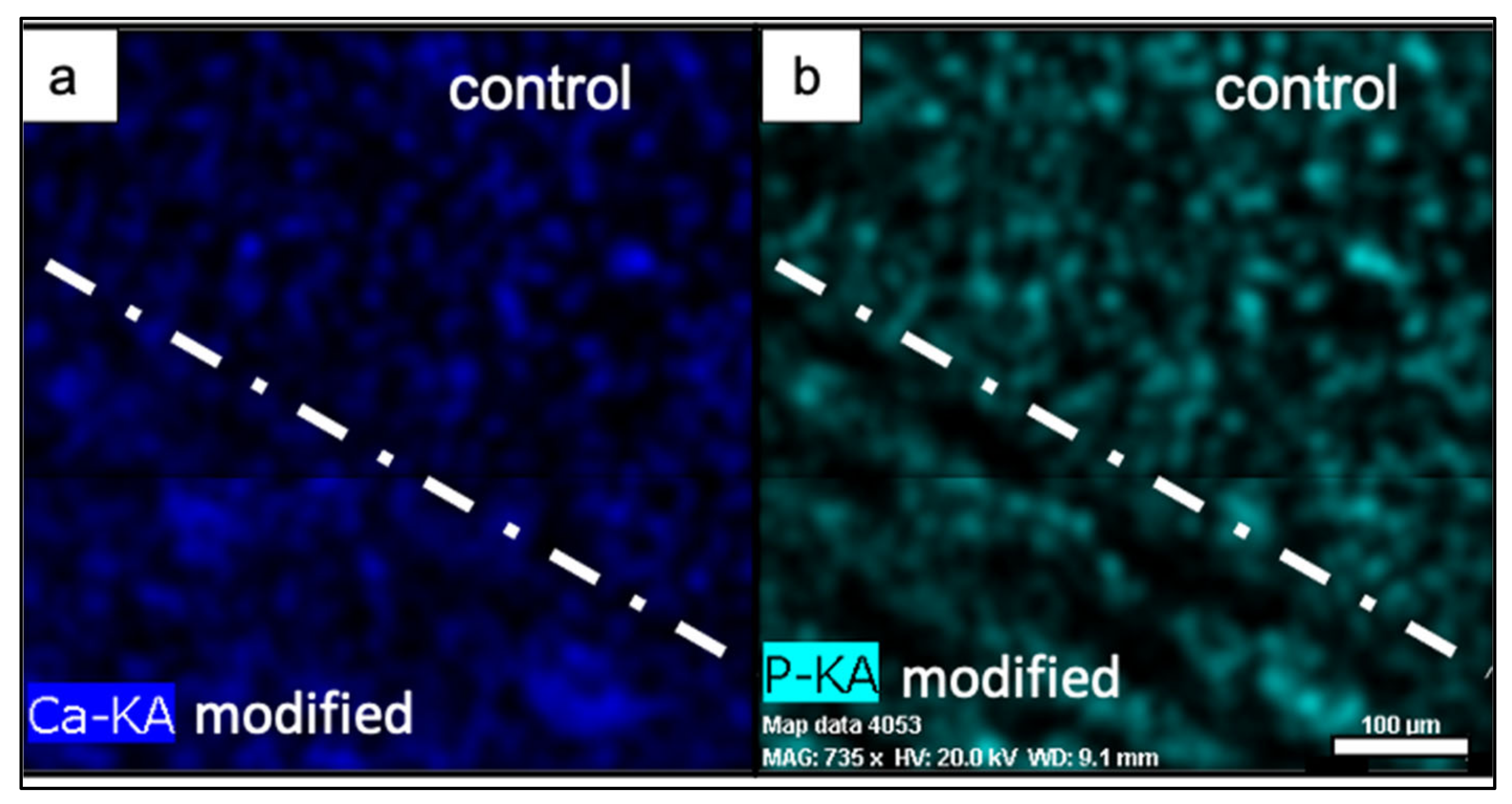 Materials 14 07513 g008