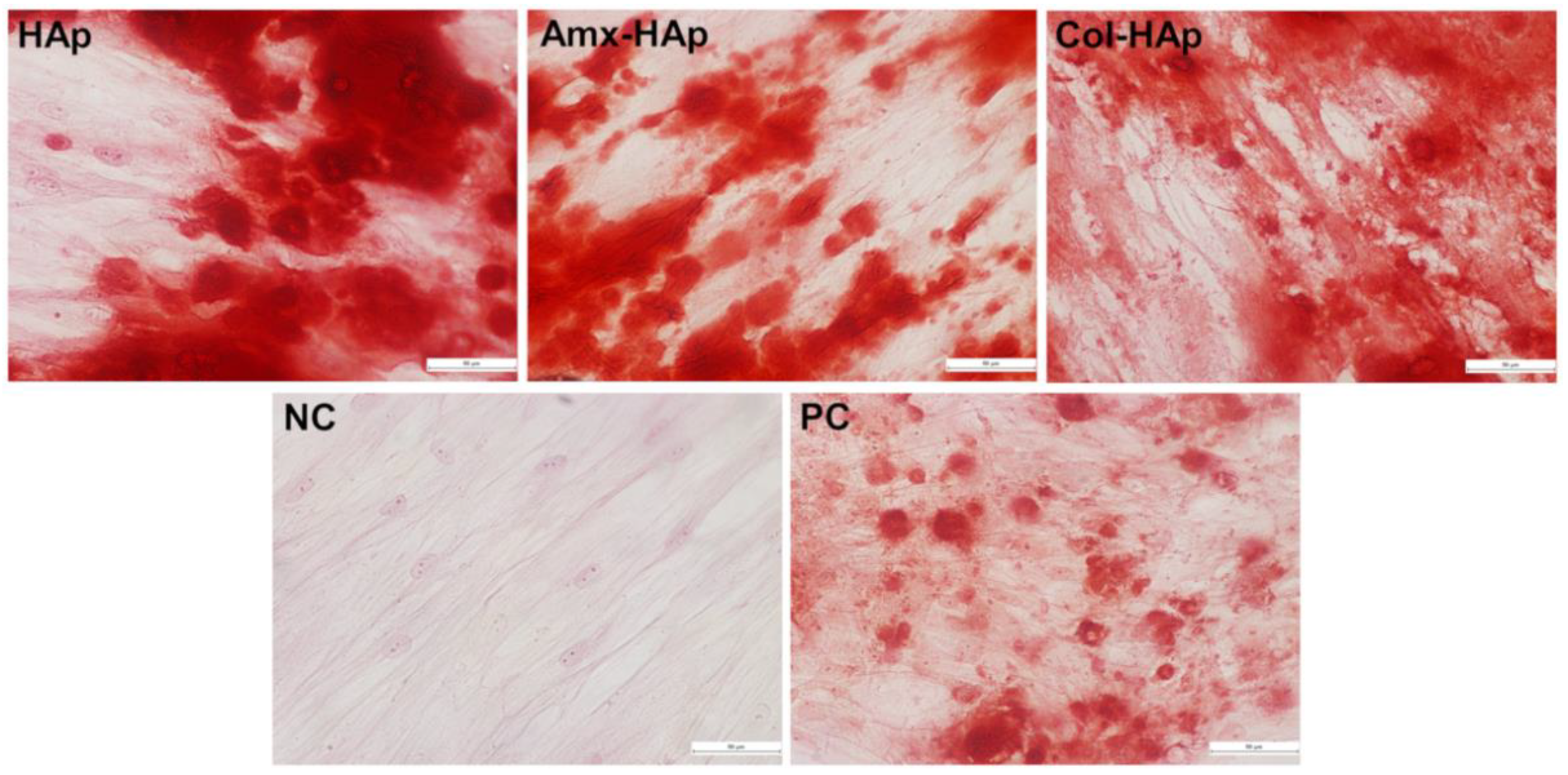 Materials 14 07515 g005