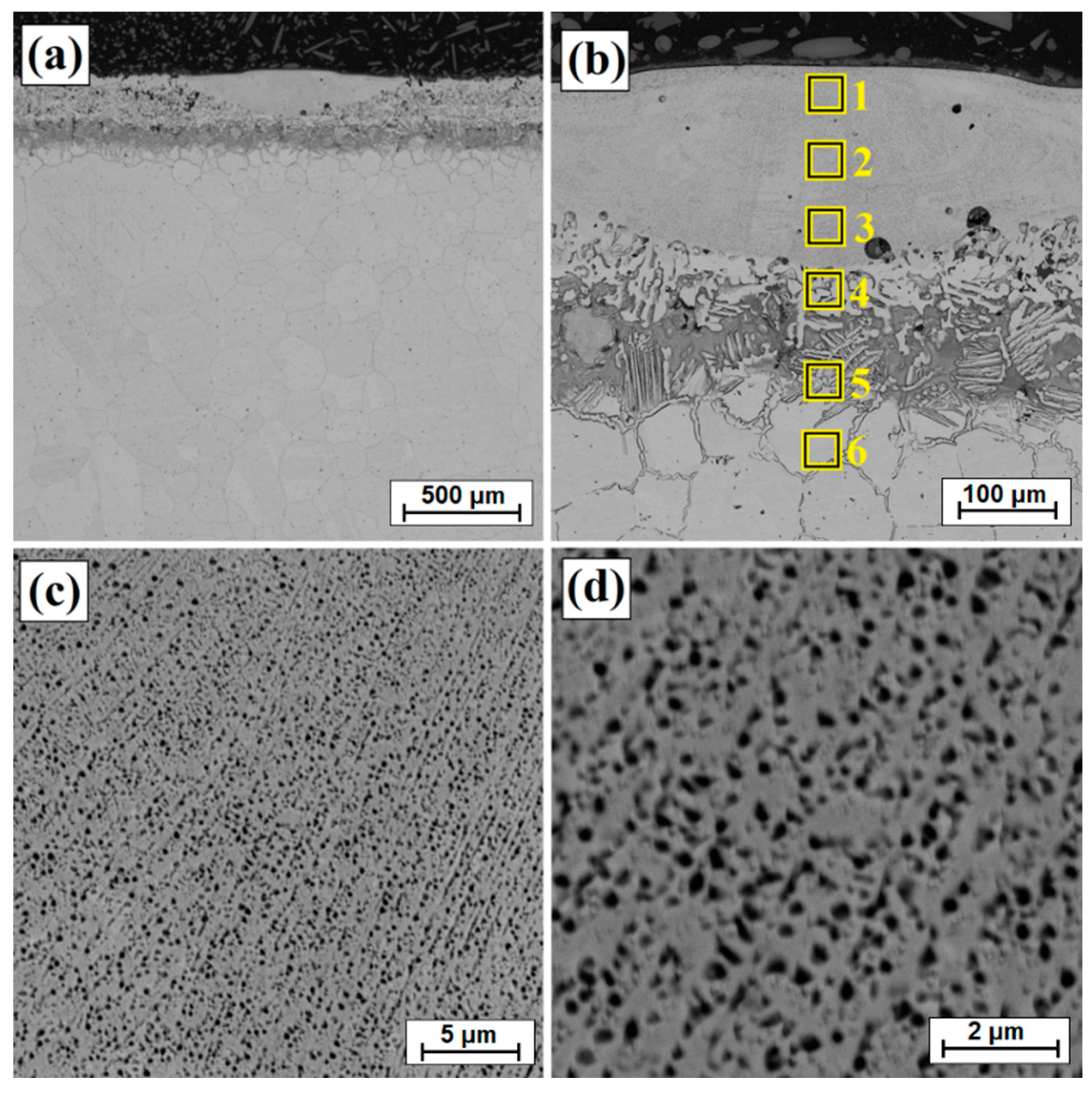 Materials 14 07529 g007 550