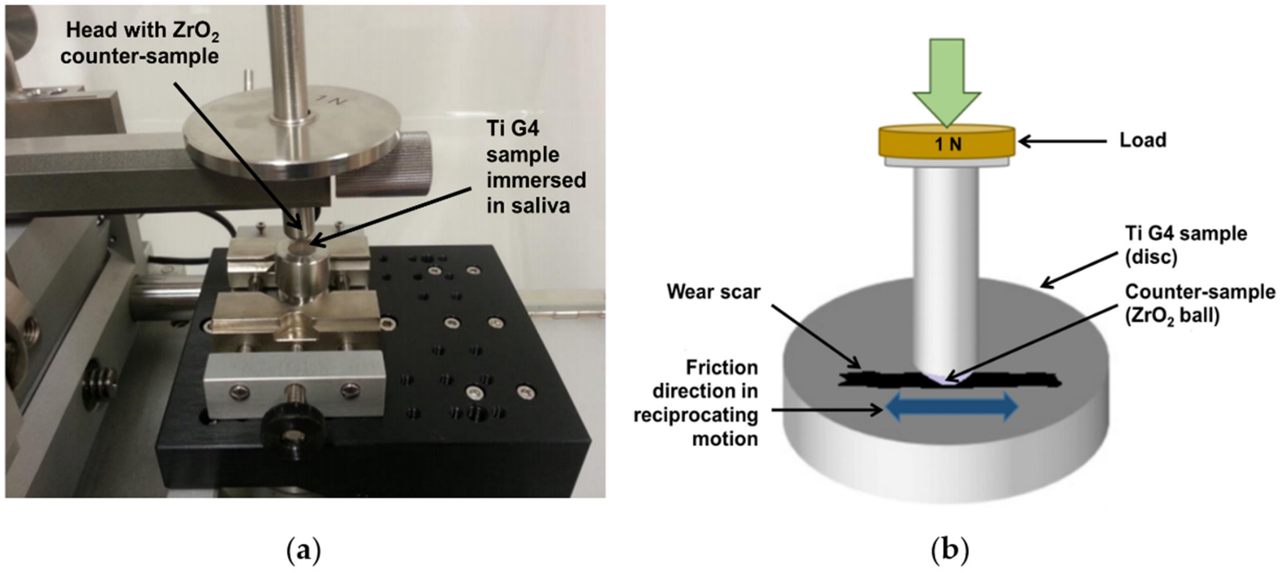 Materials 14 07536 g002