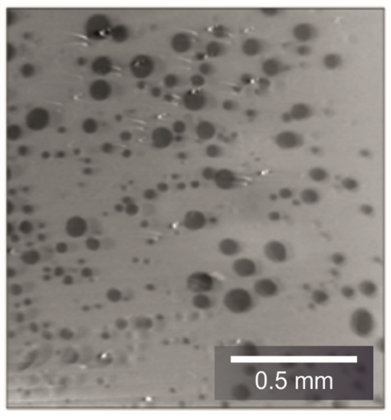 Materials 14 07556 g013 550