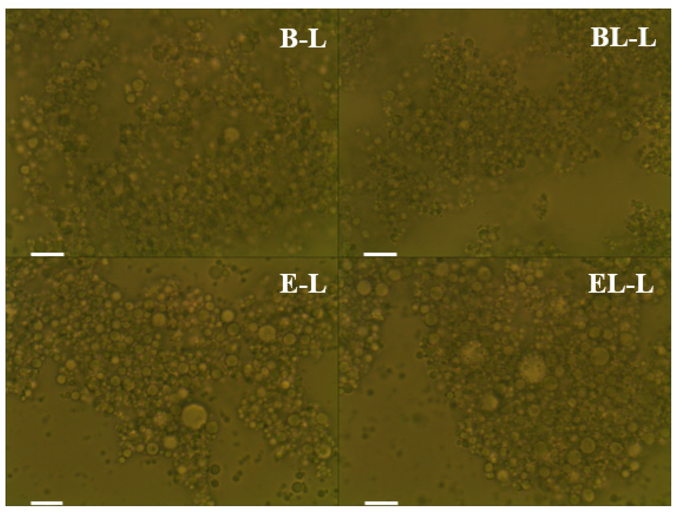 Materials 14 07571 g003