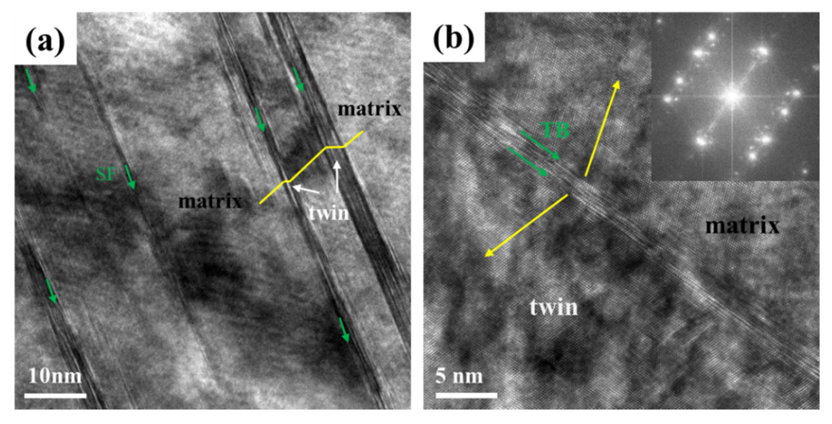 Materials 14 07574 g005