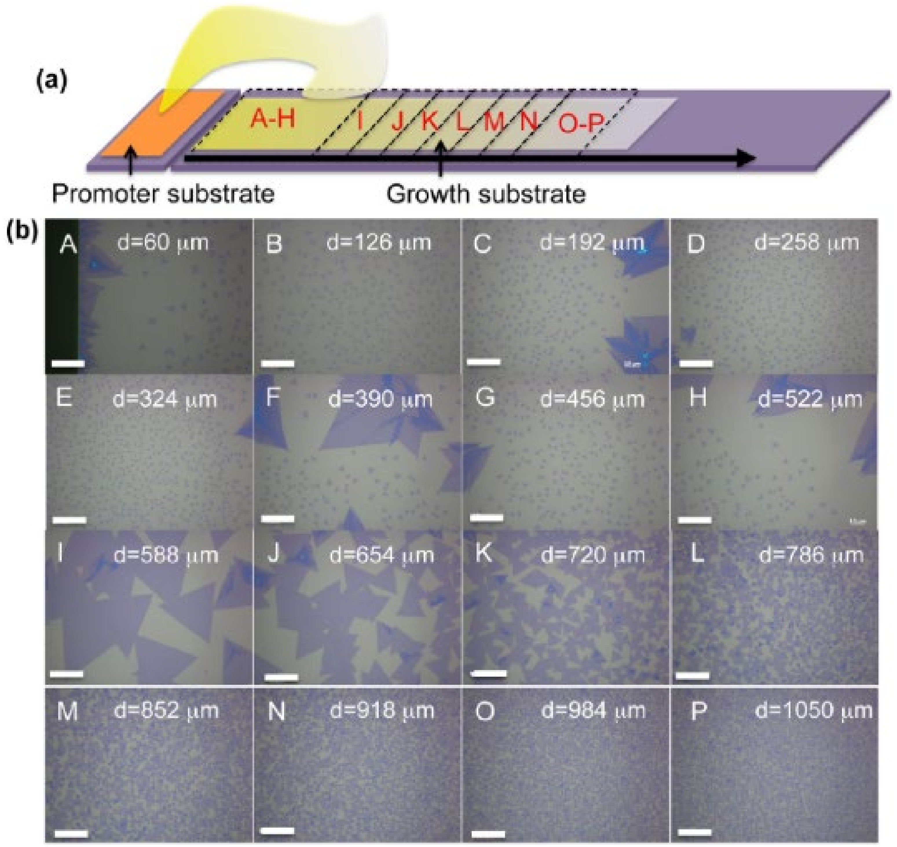 Materials 14 07590 g005