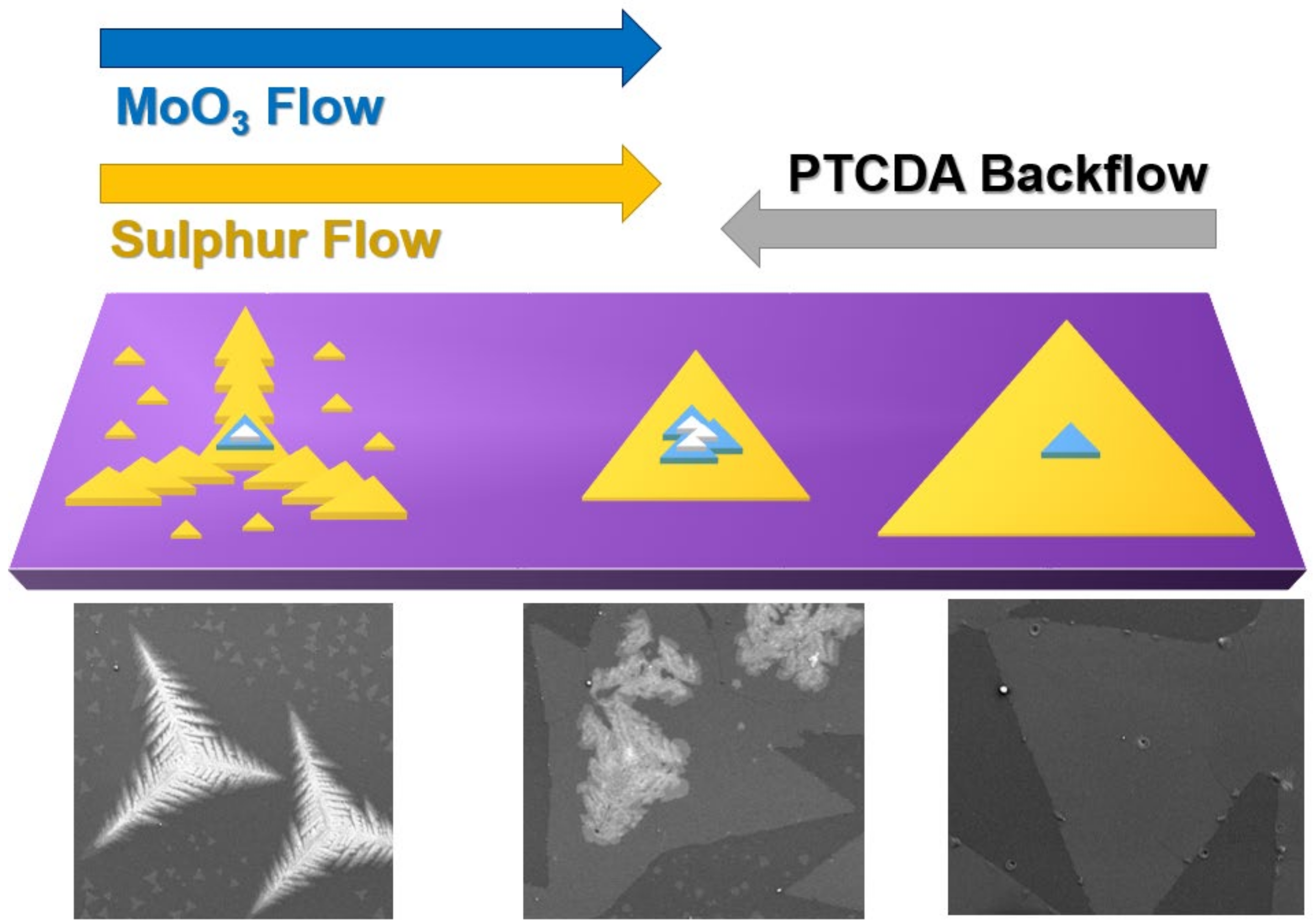 Materials 14 07590 g006