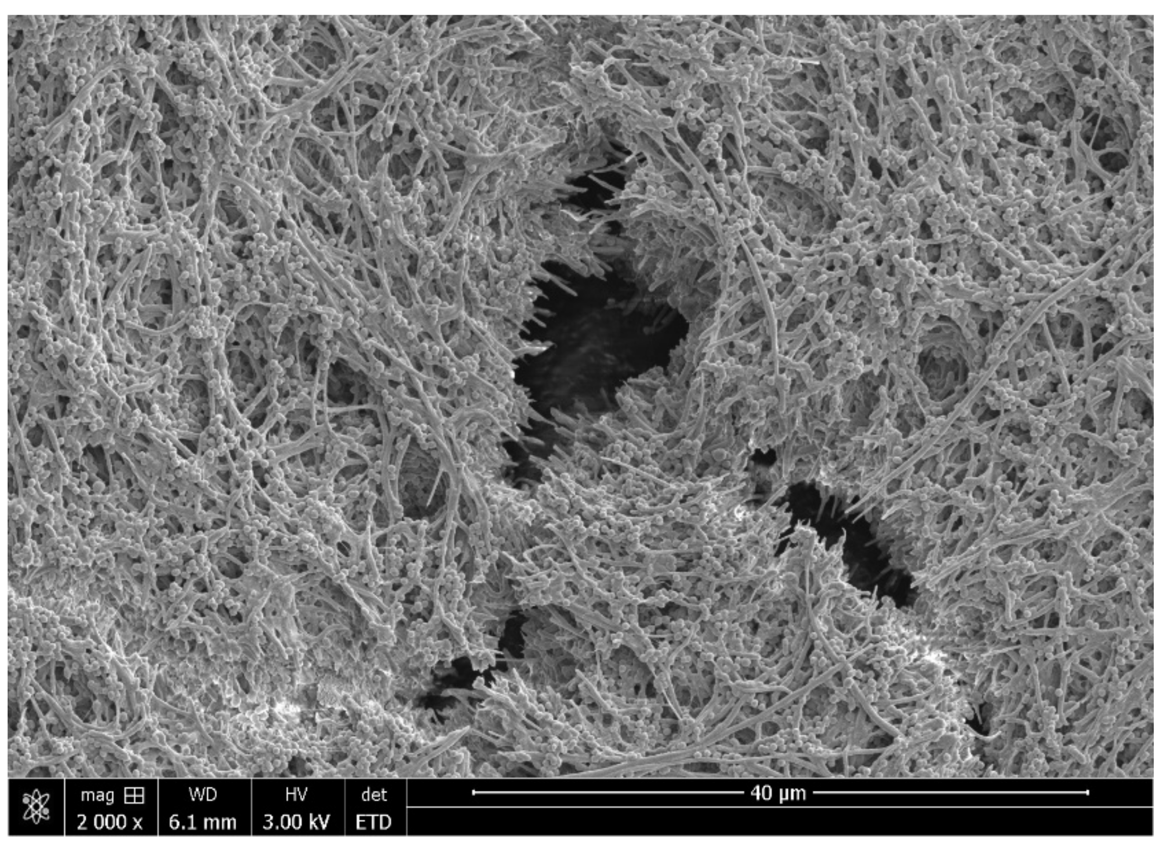 Materials 14 07594 g001