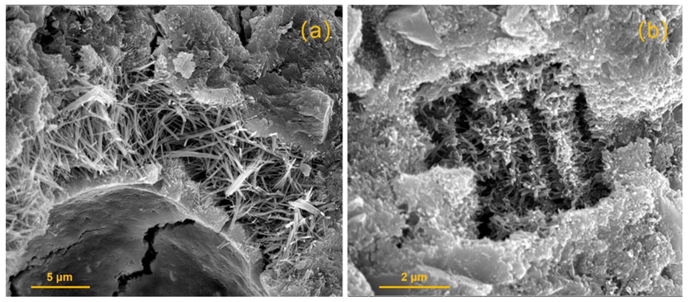 Materials 14 07594 g003