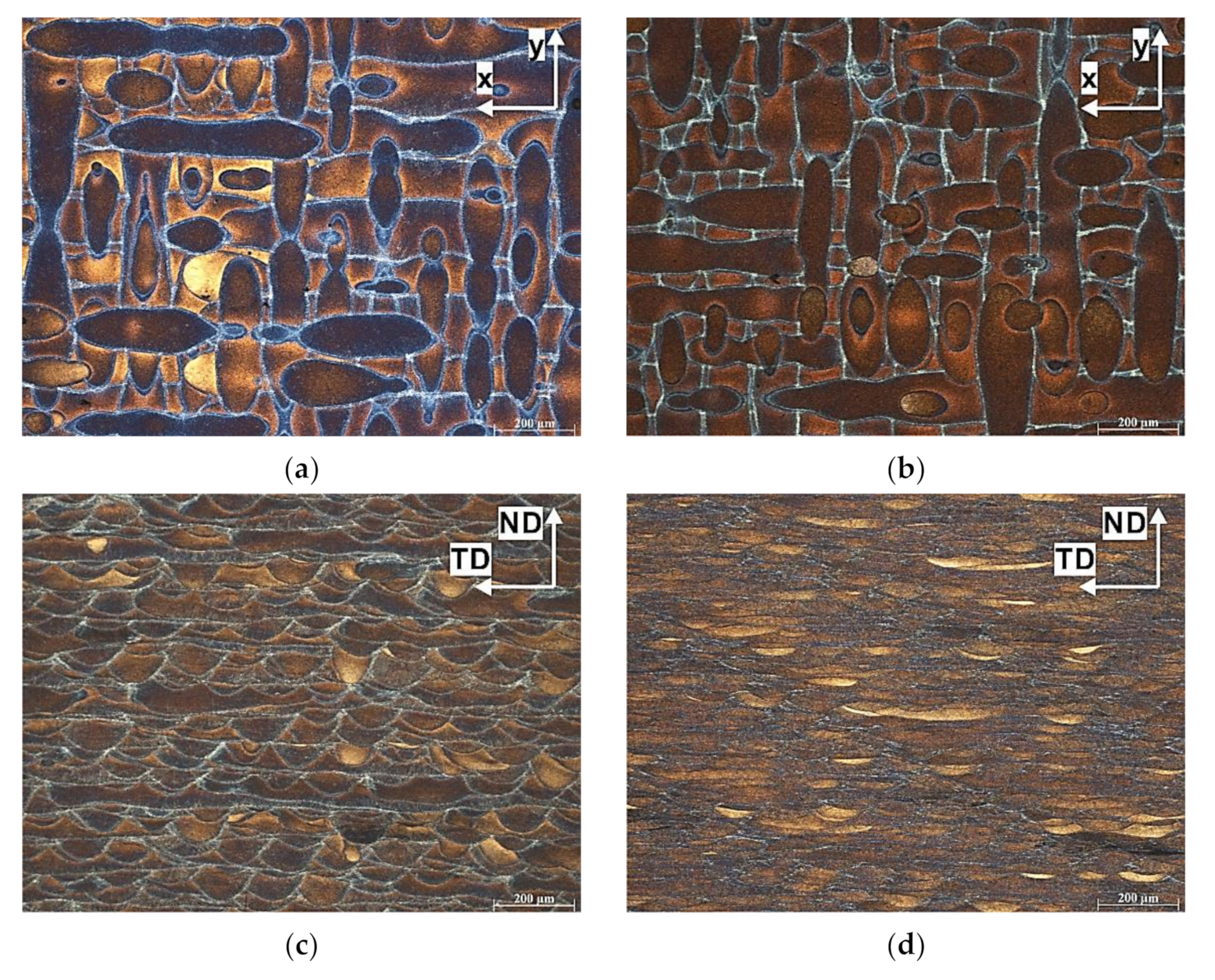 Materials 14 07598 g005 550
