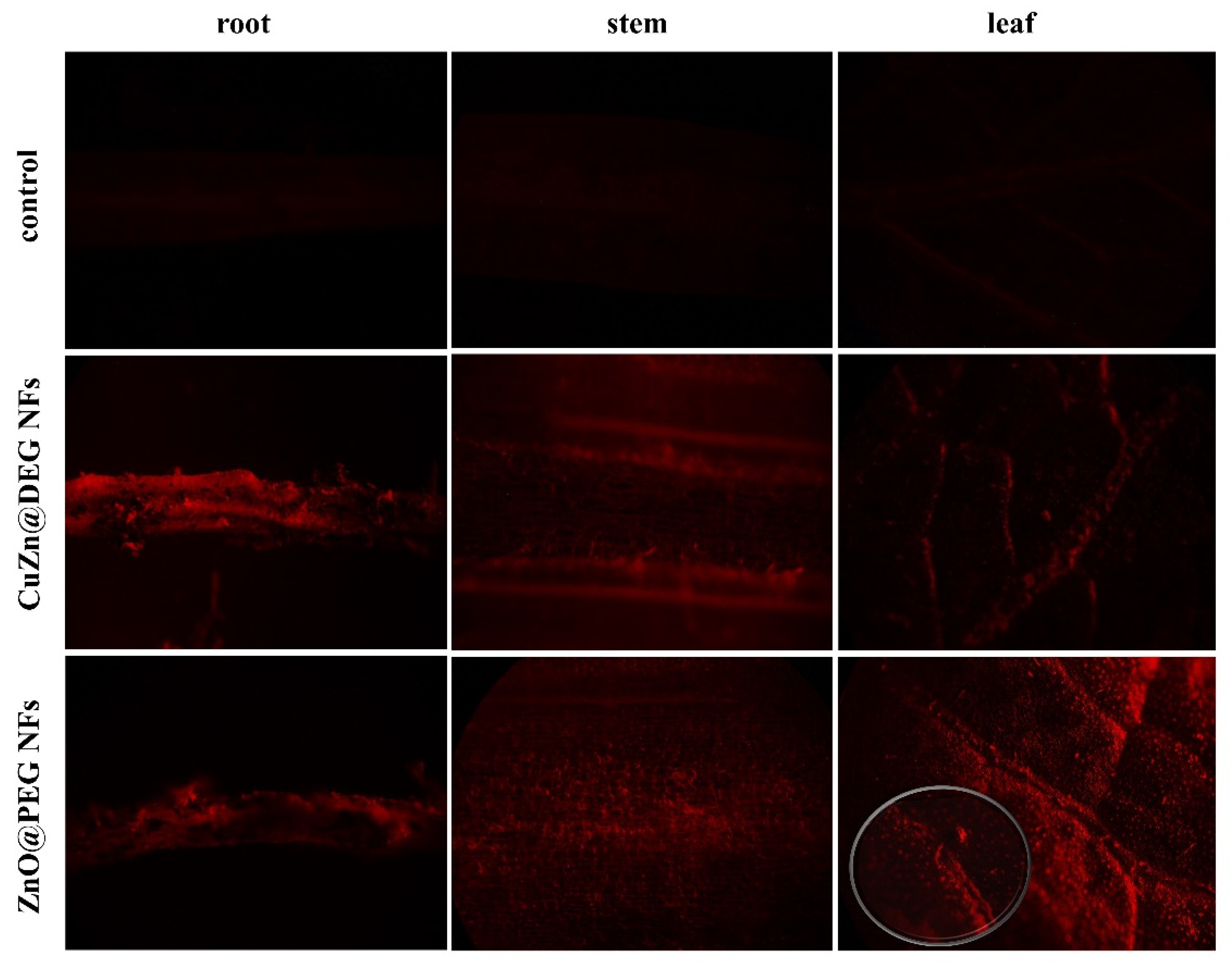 Materials 14 07600 g008