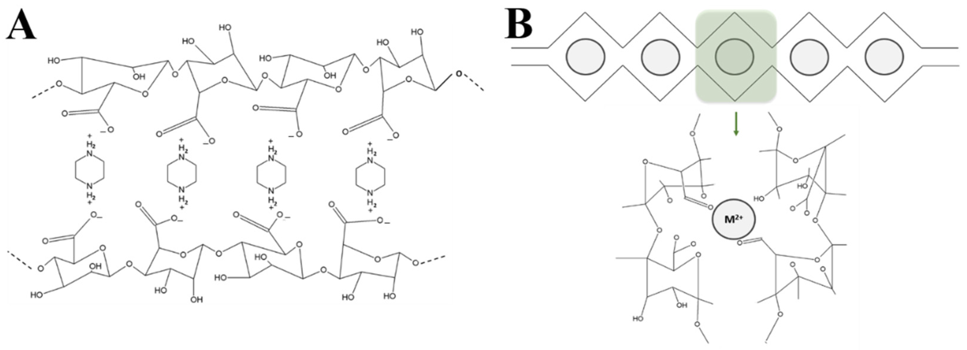 Materials 14 07601 g003 550