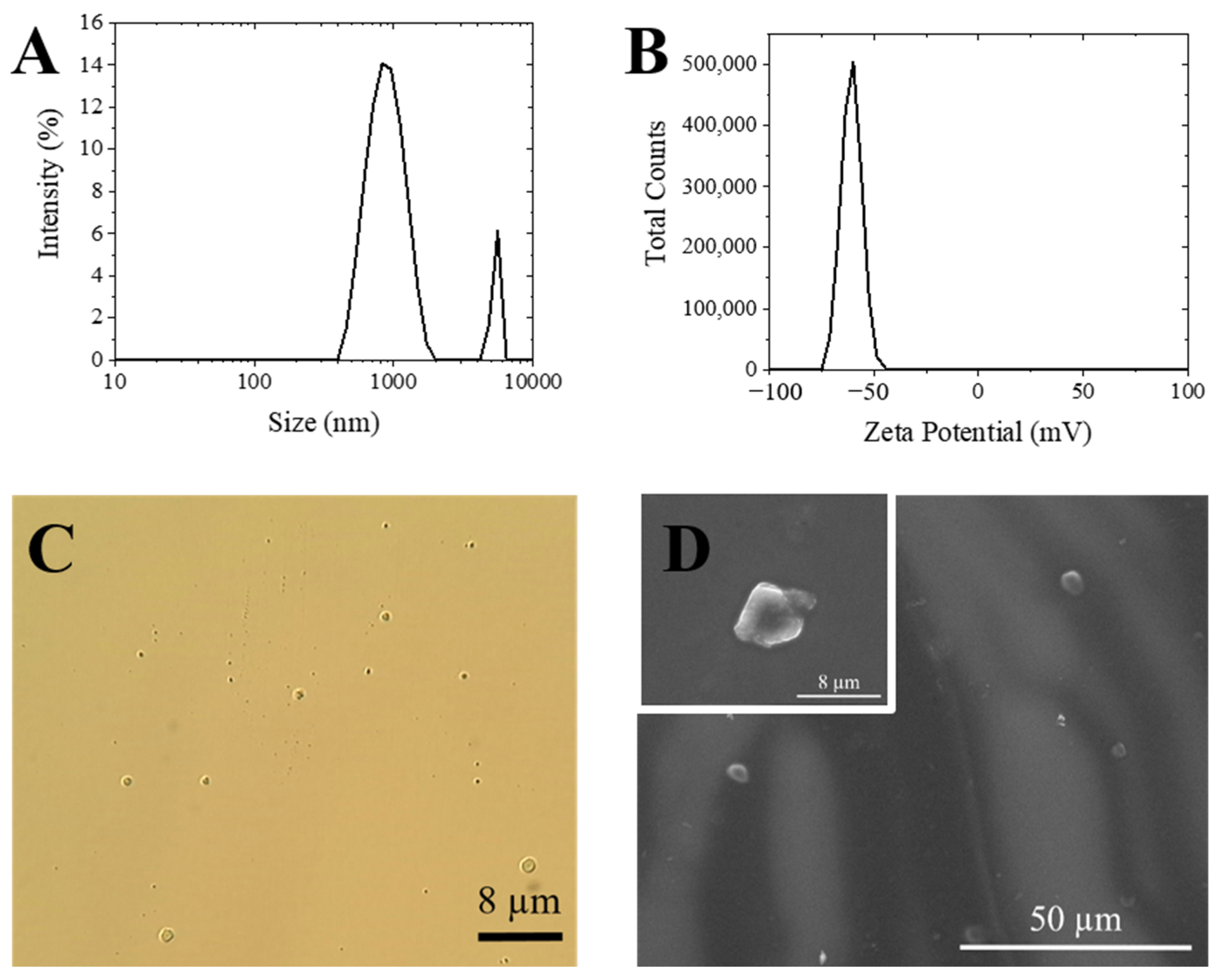Materials 14 07601 g007 550
