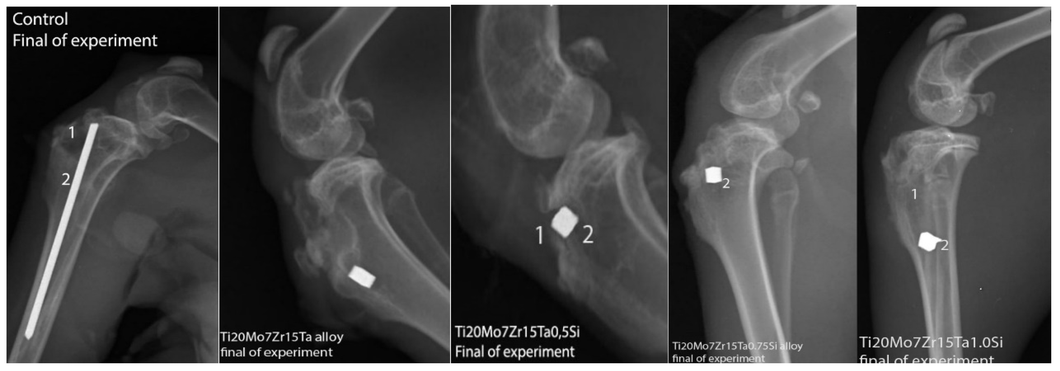 Materials 14 07610 g009