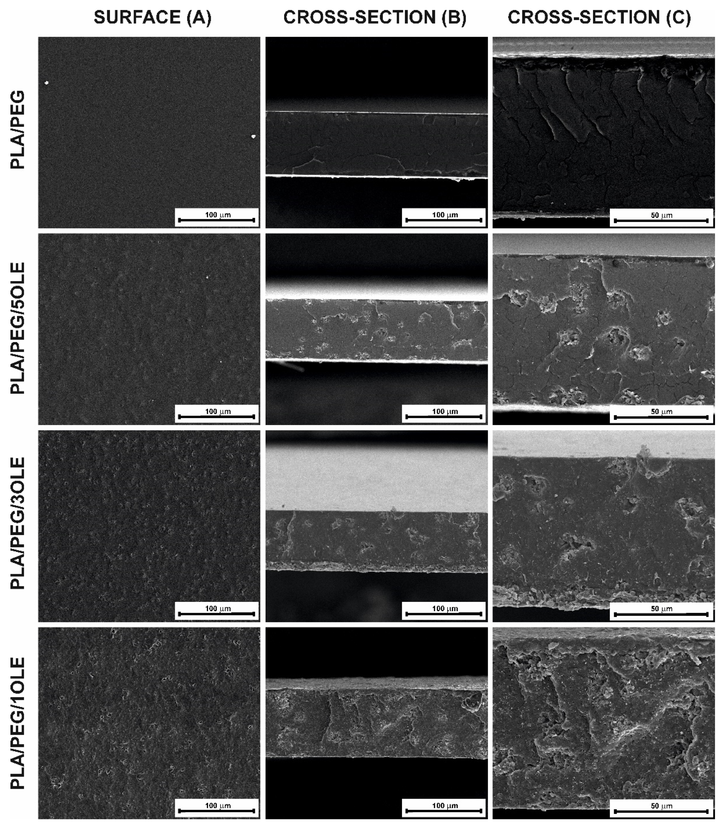 Materials 14 07623 g004 550