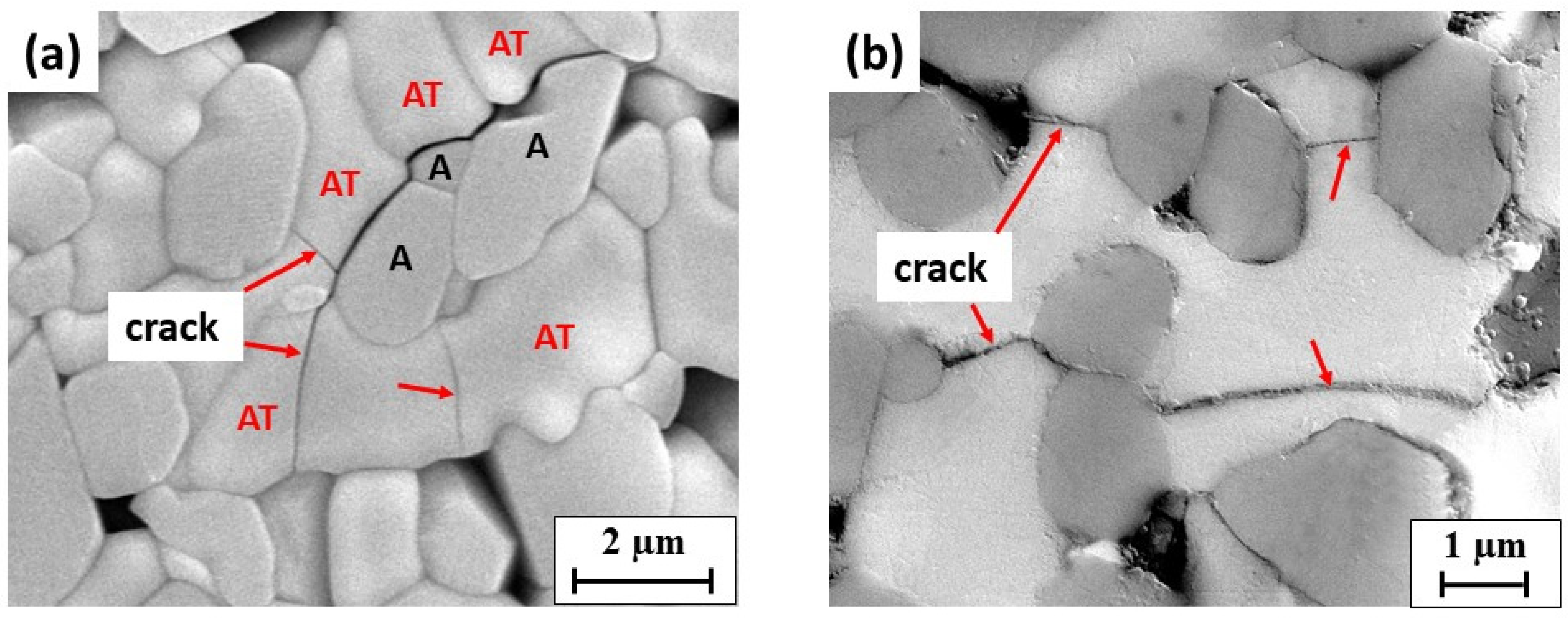 Materials 14 07624 g004 550