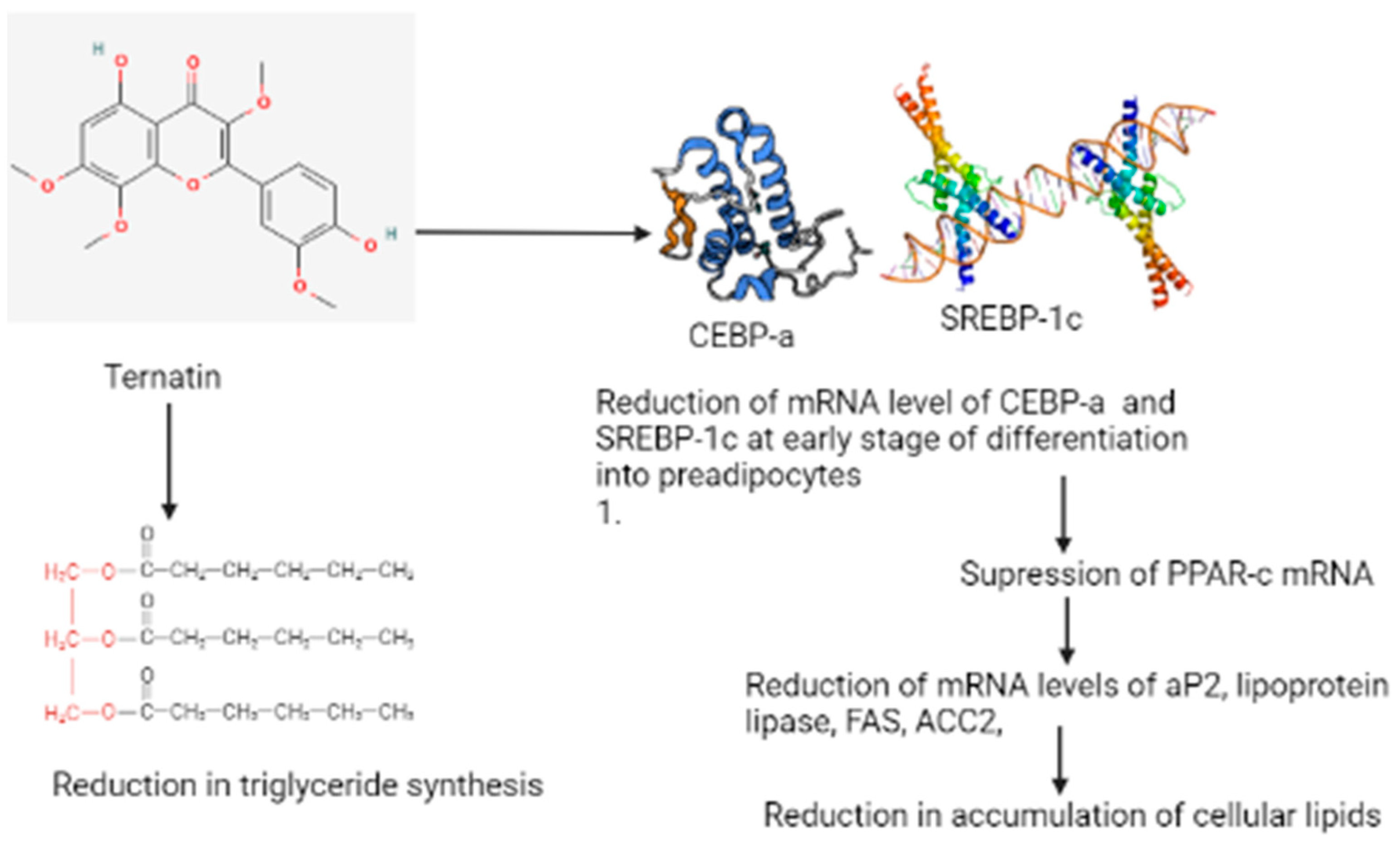 Materials 14 07640 g003