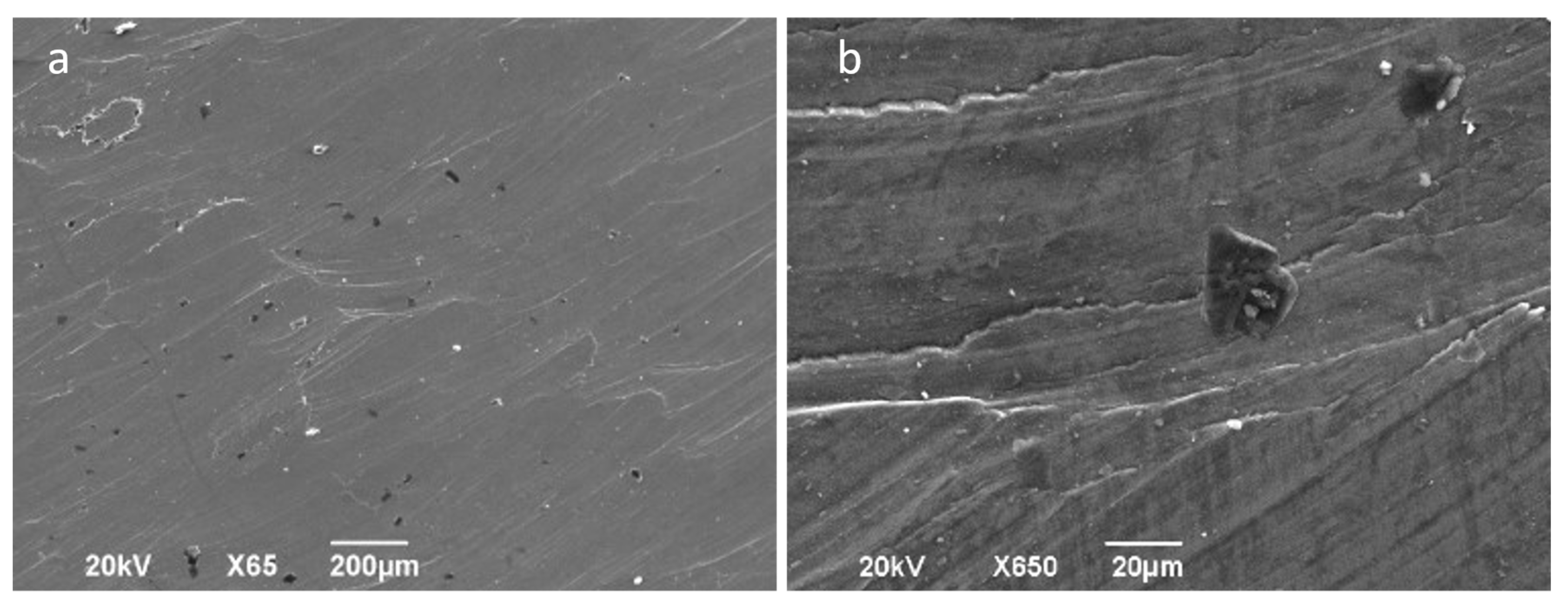 Materials 14 07641 g012