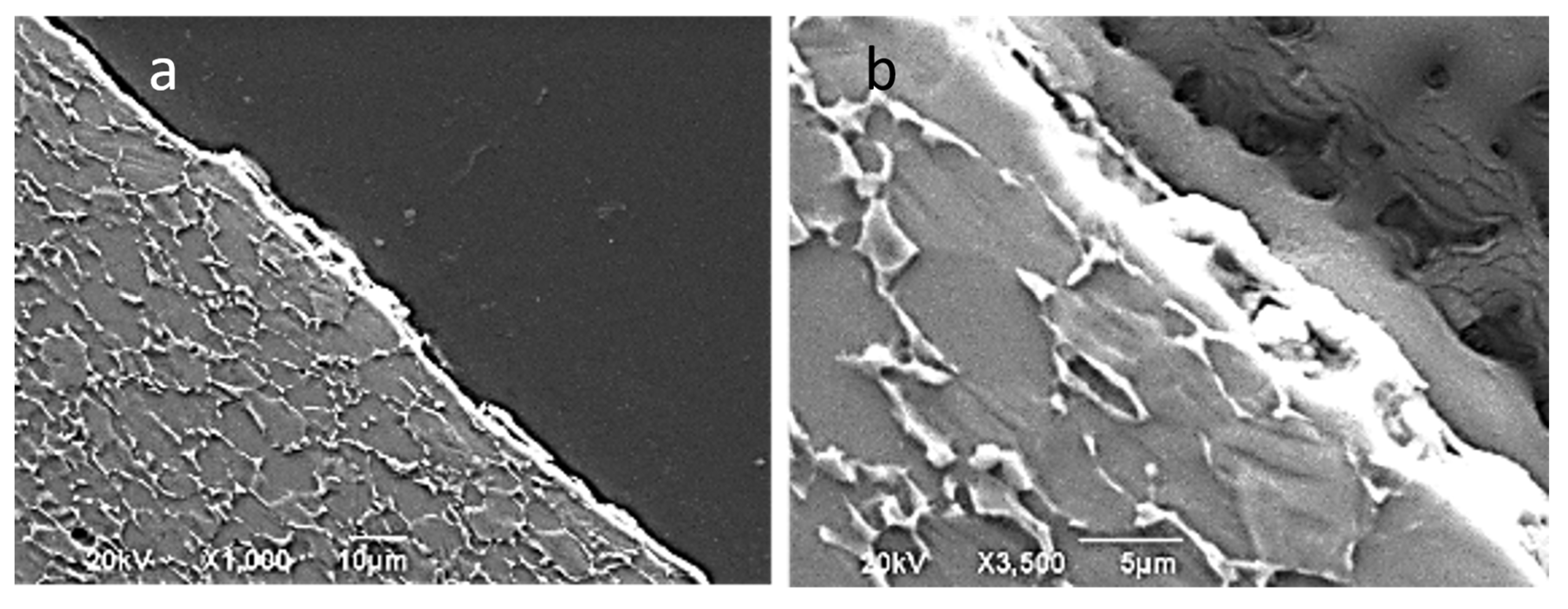 Materials 14 07641 g014