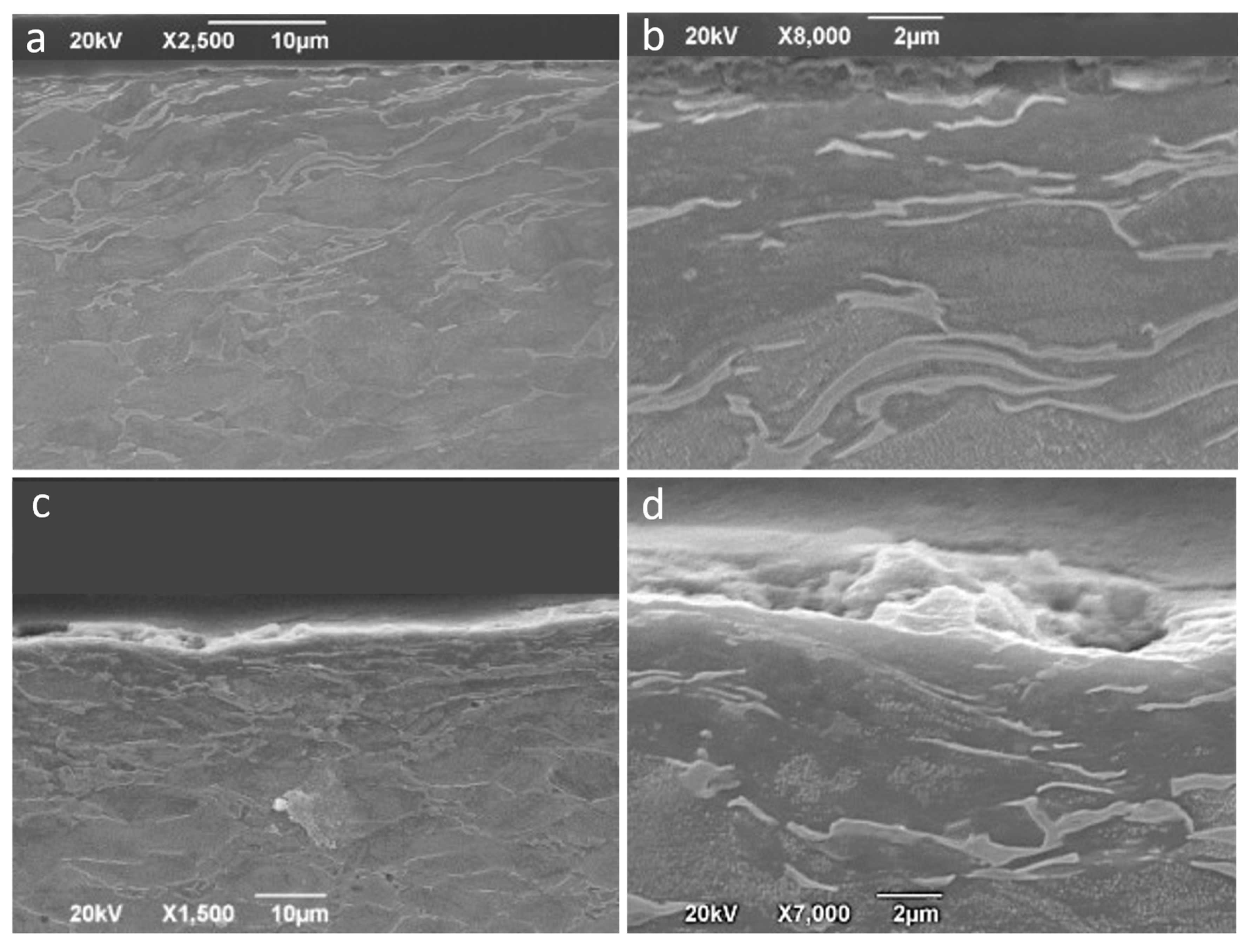 Materials 14 07641 g015