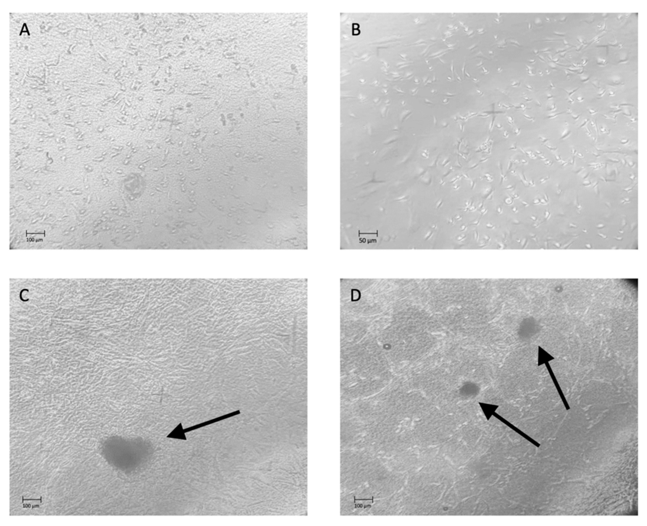 Materials 14 07648 g010 Materials 14 07648 g010