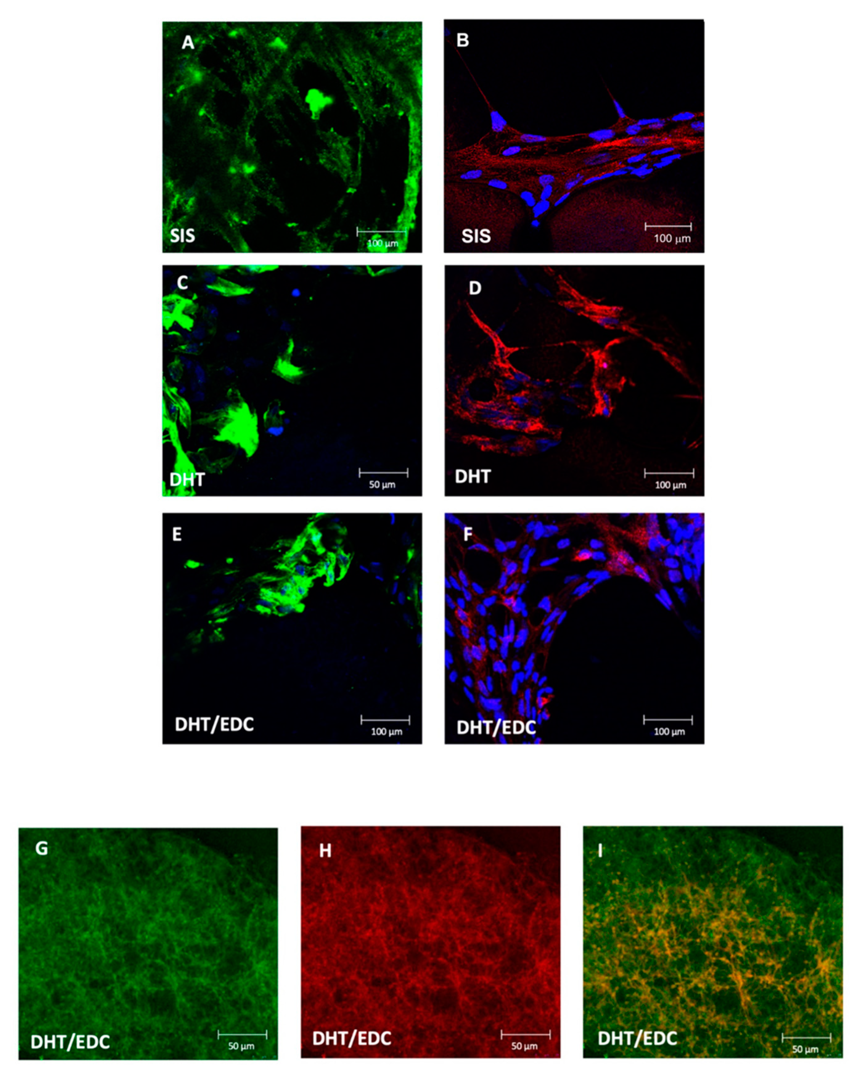 Materials 14 07648 g011 Materials 14 07648 g011