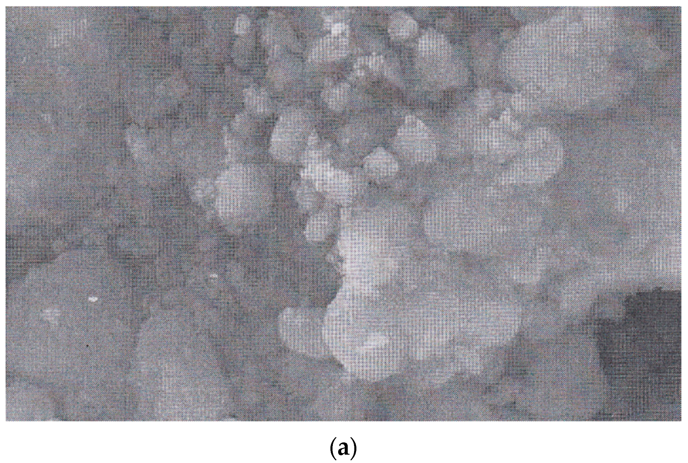 Materials 14 07649 g003a 550