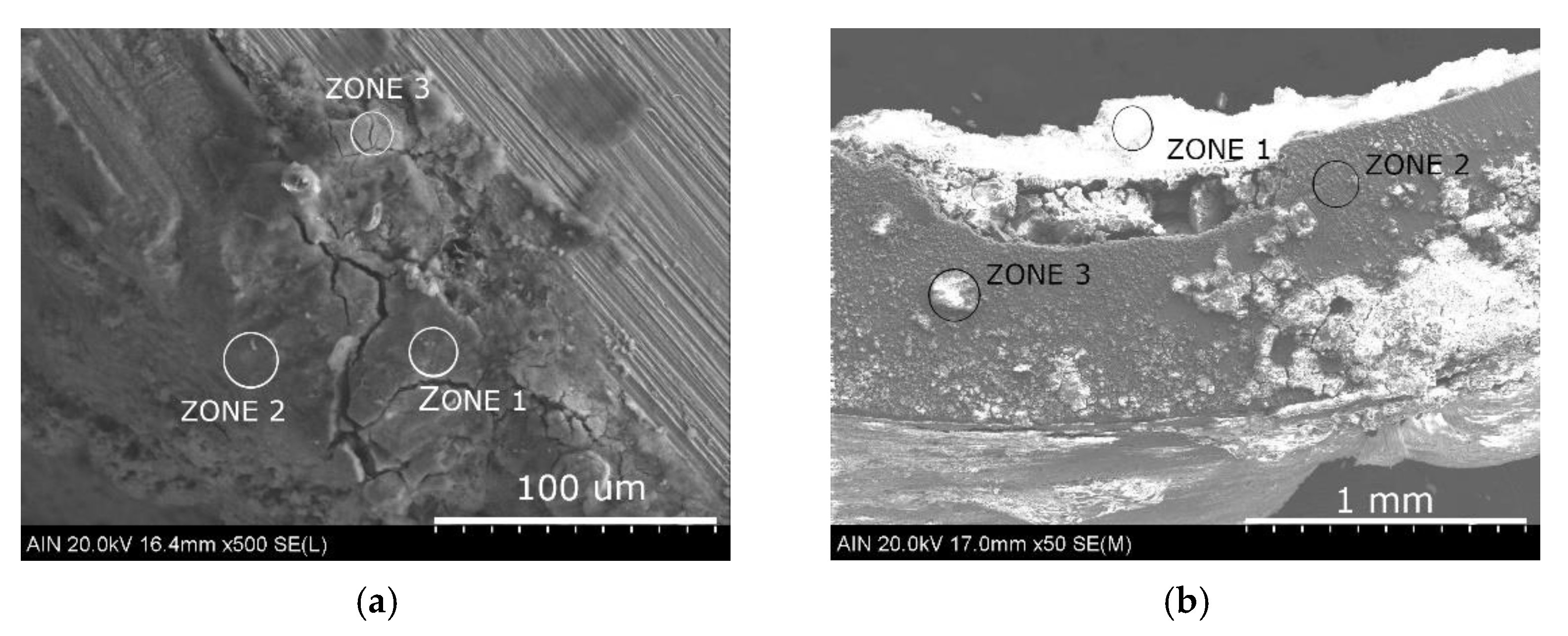 Materials 14 07657 g007 550