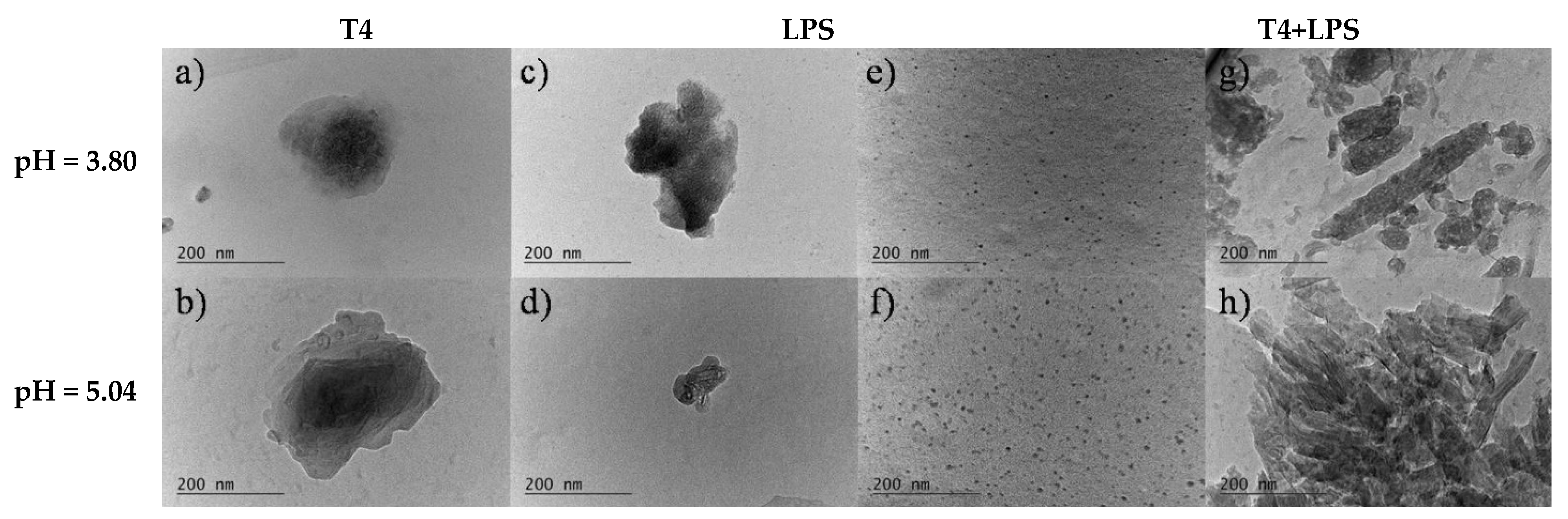 Materials 14 07659 g004 Materials 14 07659 g004