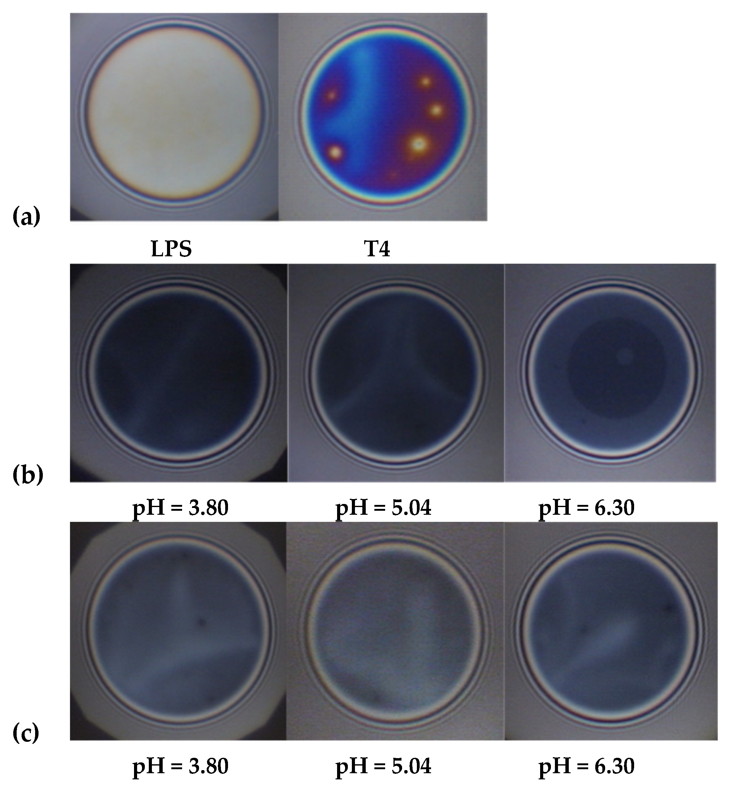 Materials 14 07659 g007 Materials 14 07659 g007