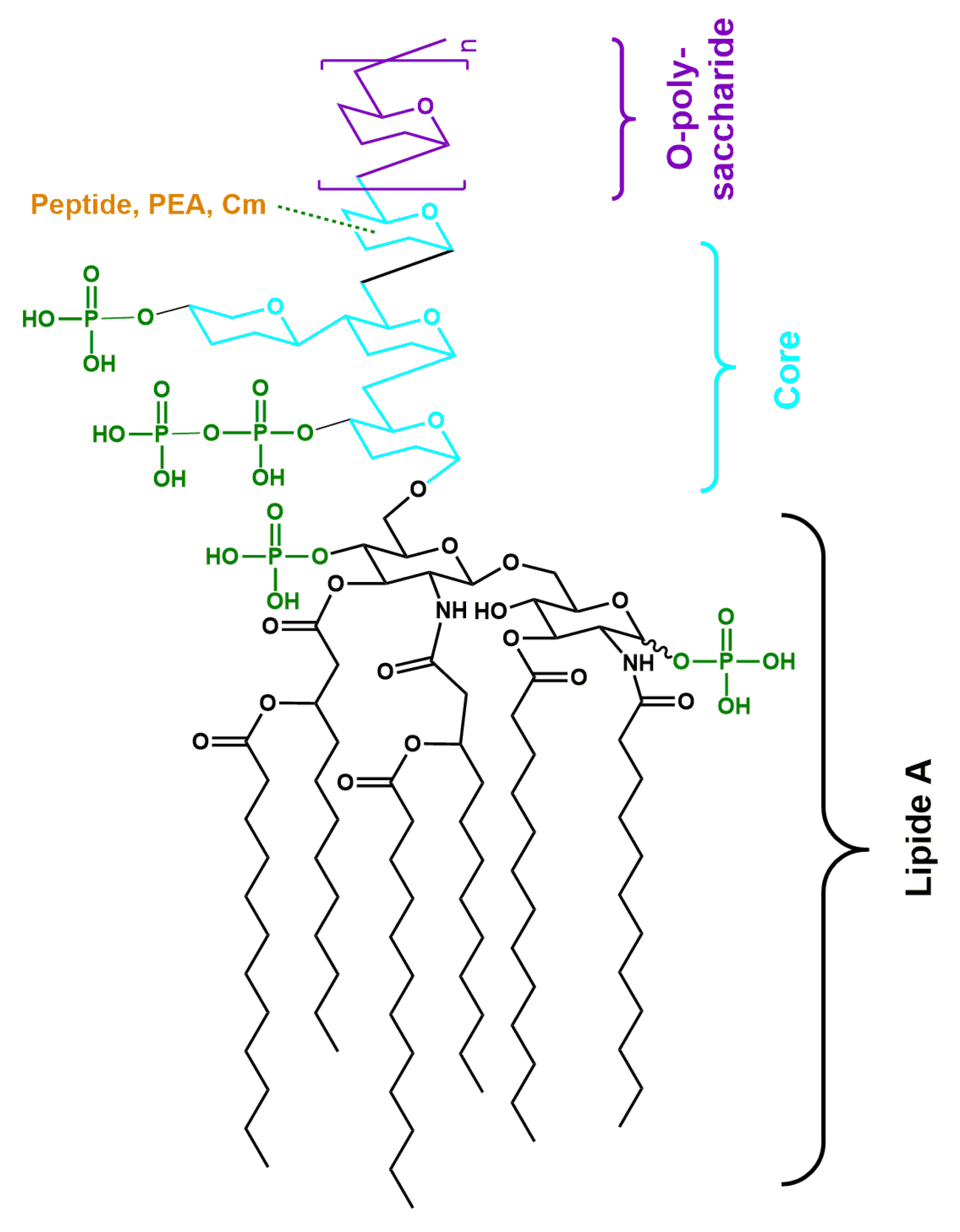 Materials 14 07659 sch001 Materials 14 07659 sch001