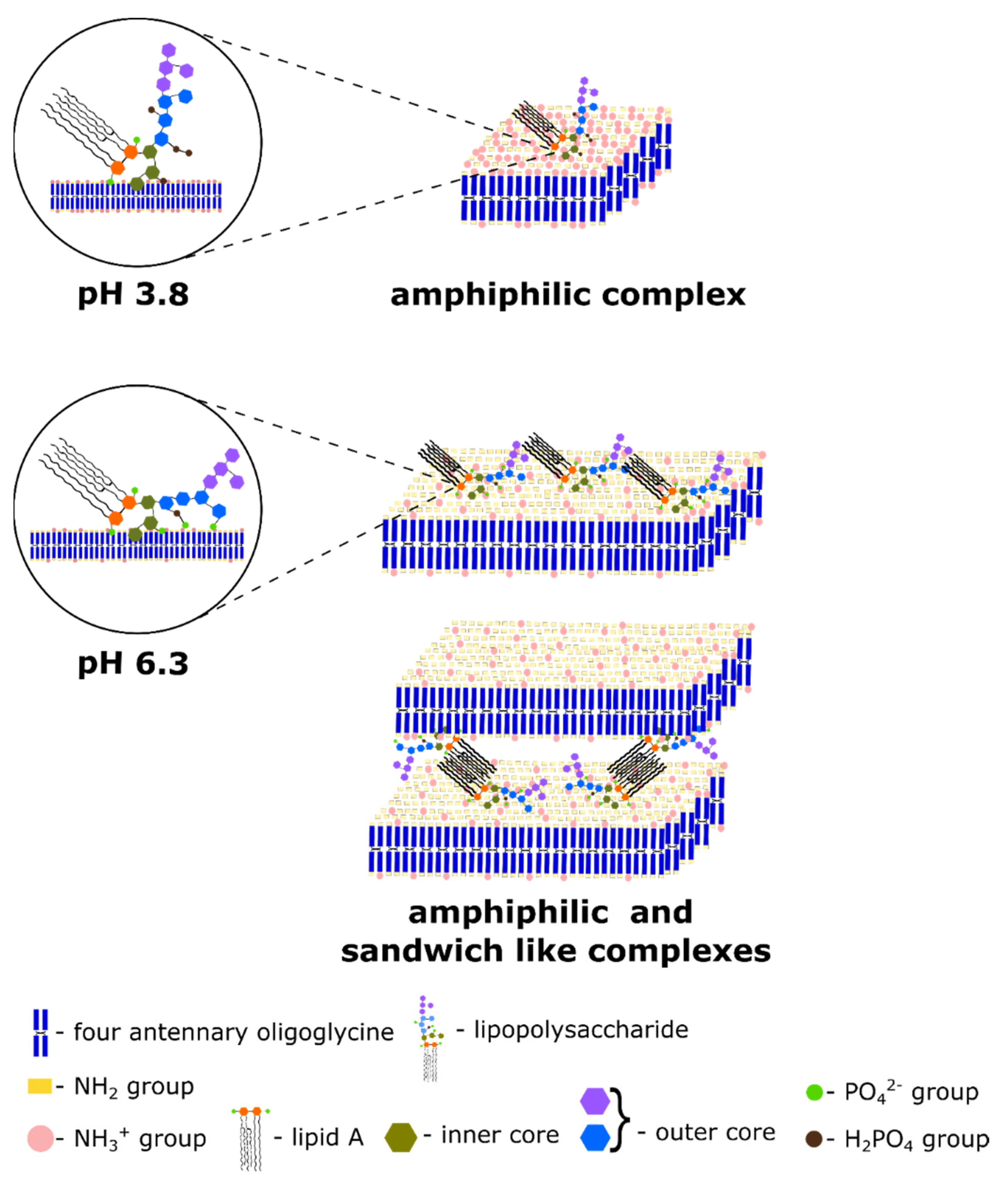 Materials 14 07659 sch002 Materials 14 07659 sch002