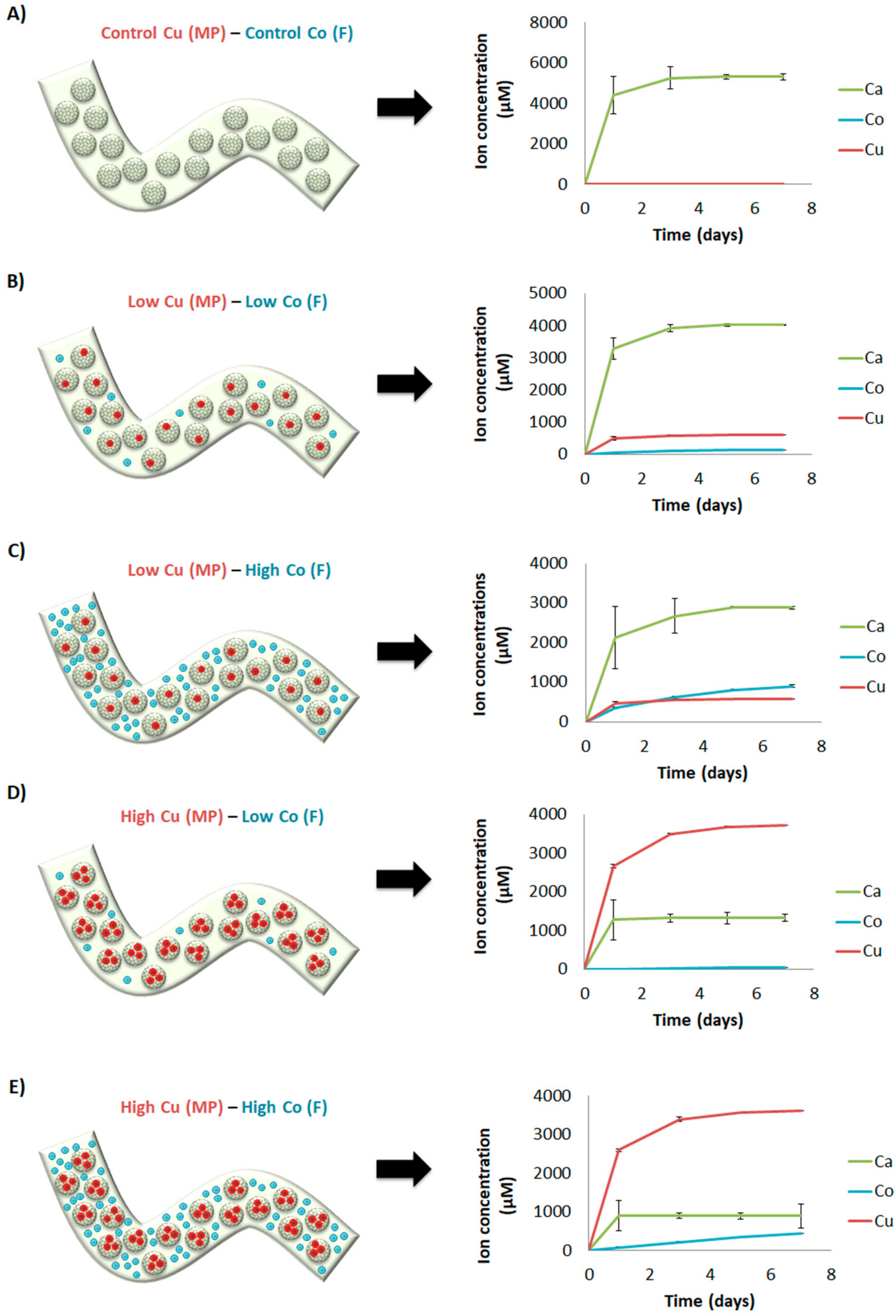 Materials 14 07676 g007 Materials 14 07676 g007