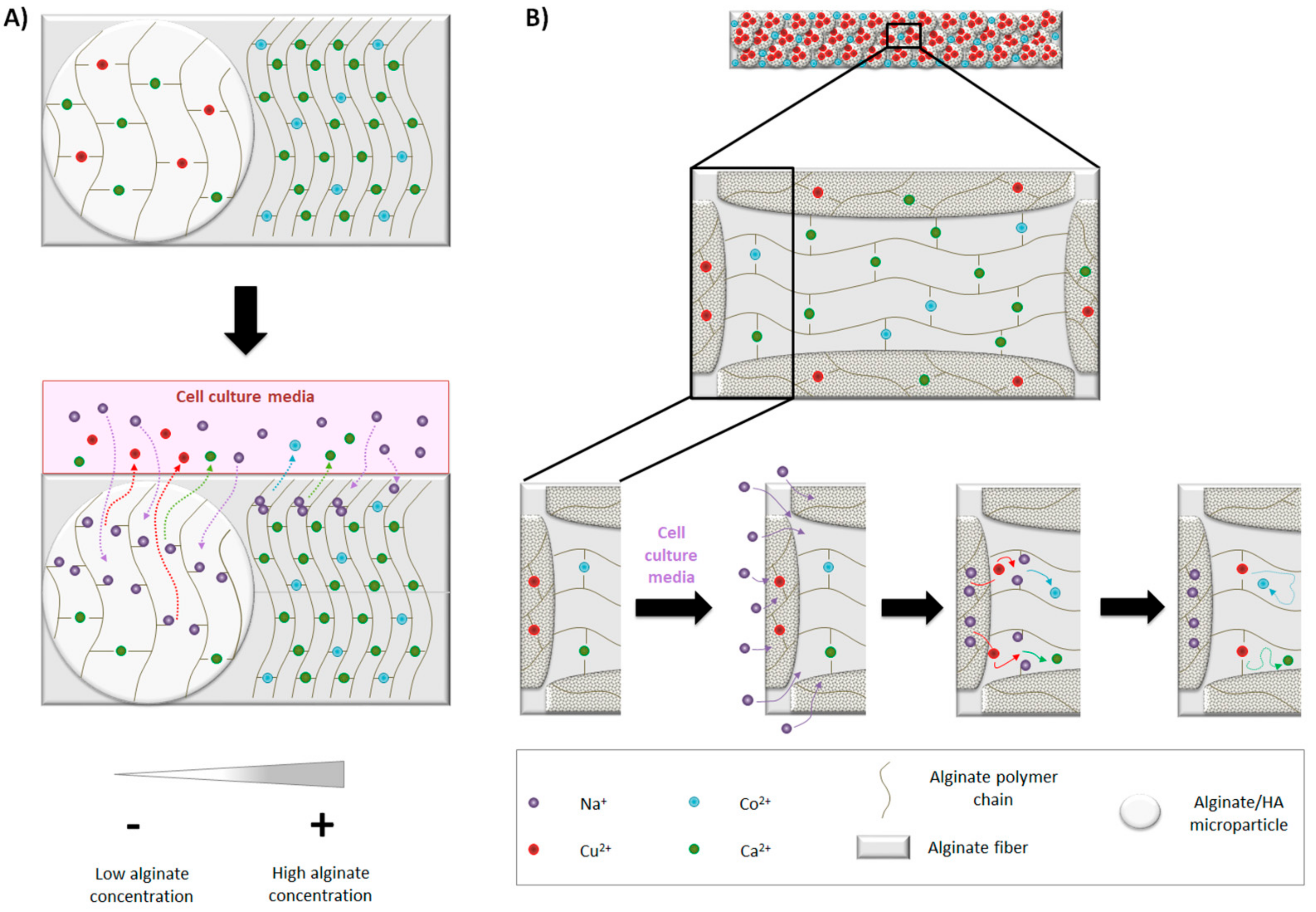 Materials 14 07676 g008 Materials 14 07676 g008