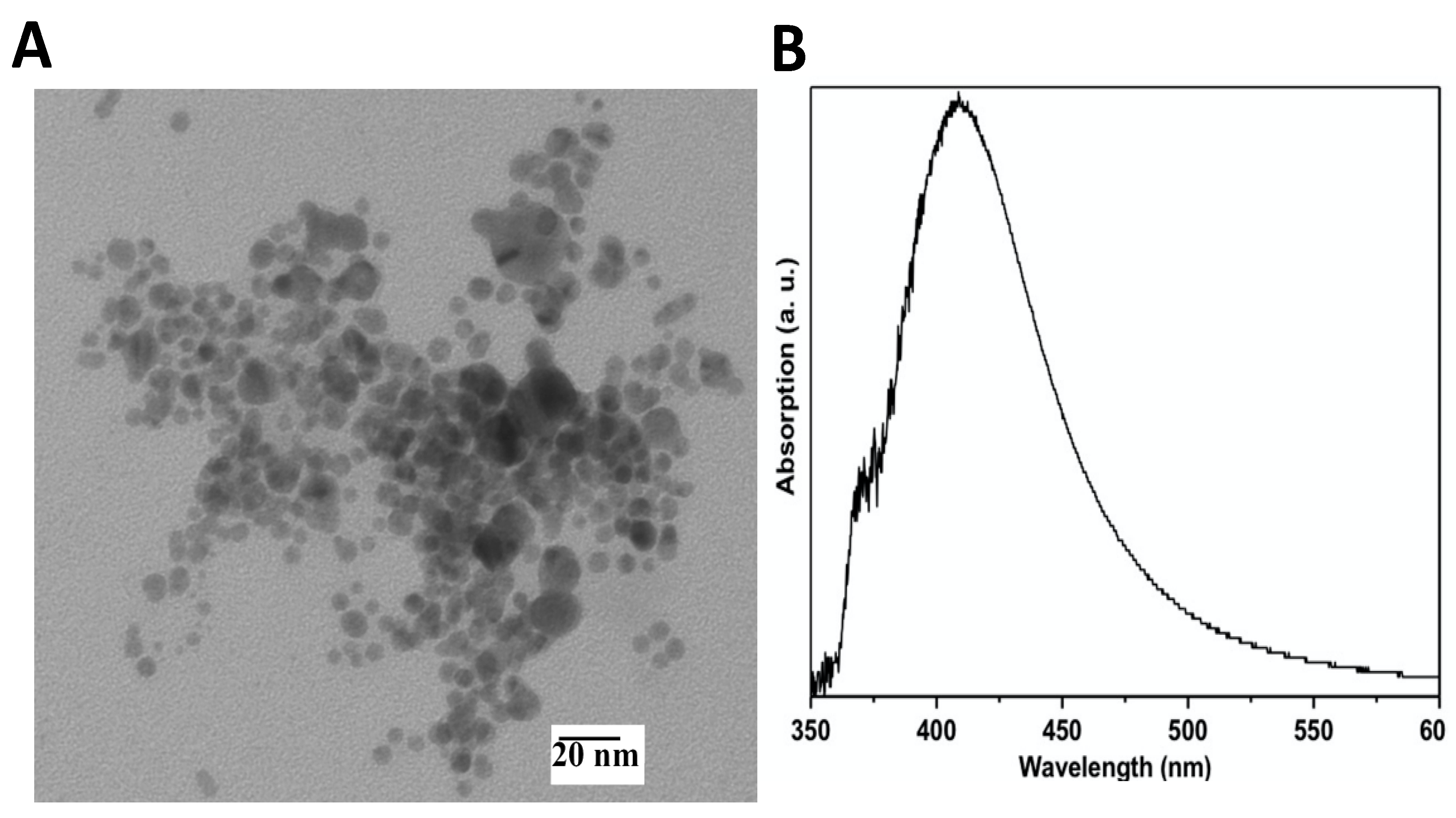 Materials 14 07681 g002a