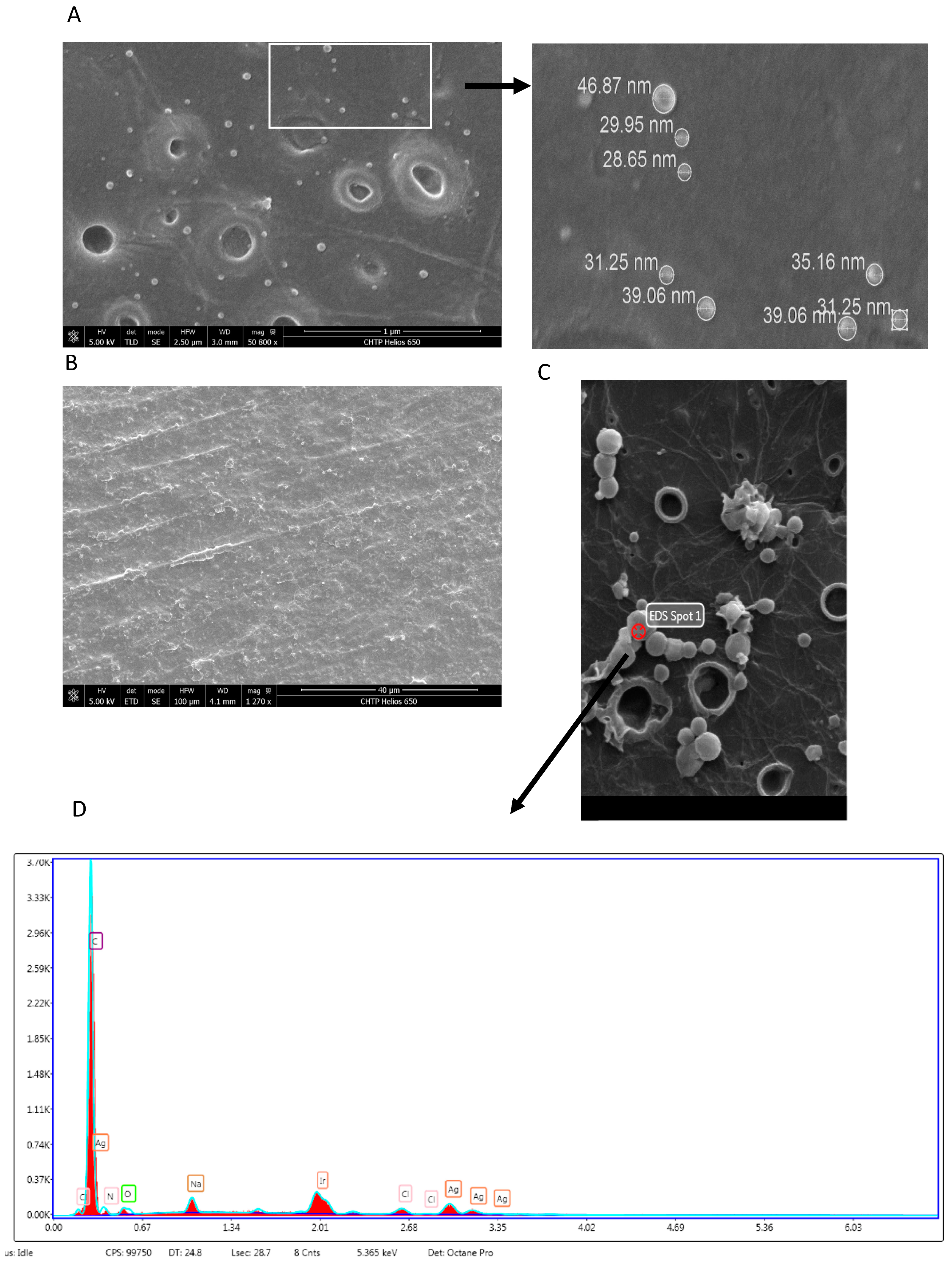 Materials 14 07681 g003