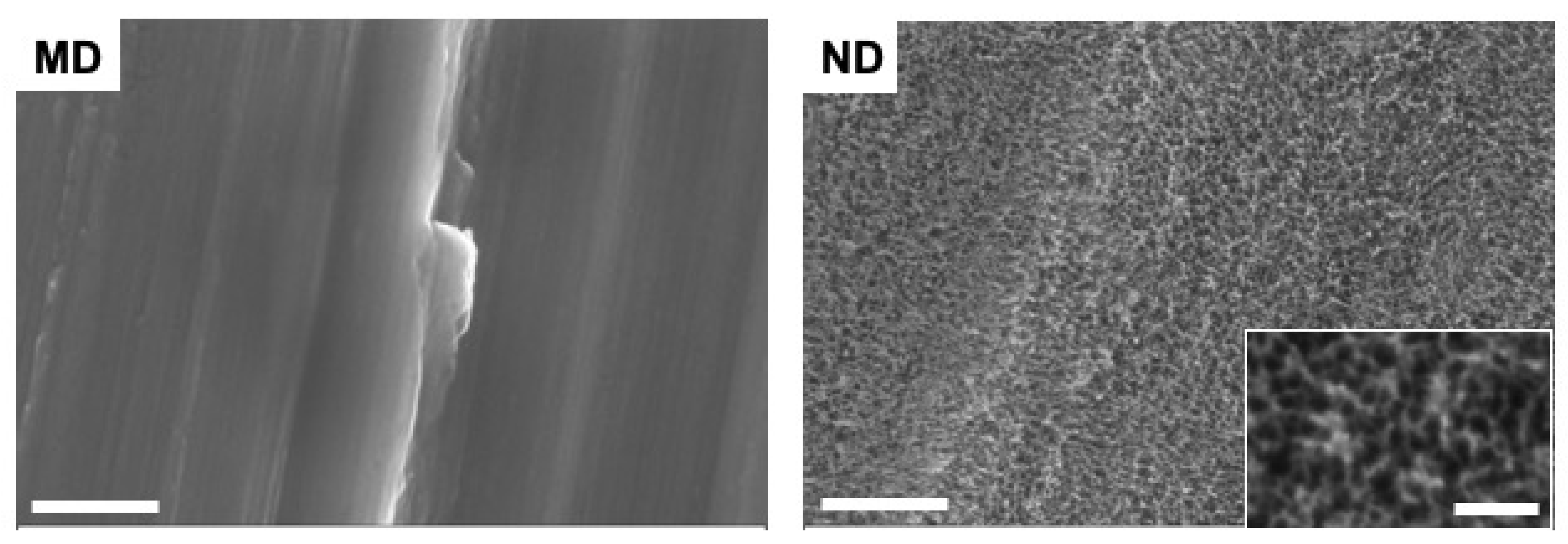 Materials 14 07686 g001