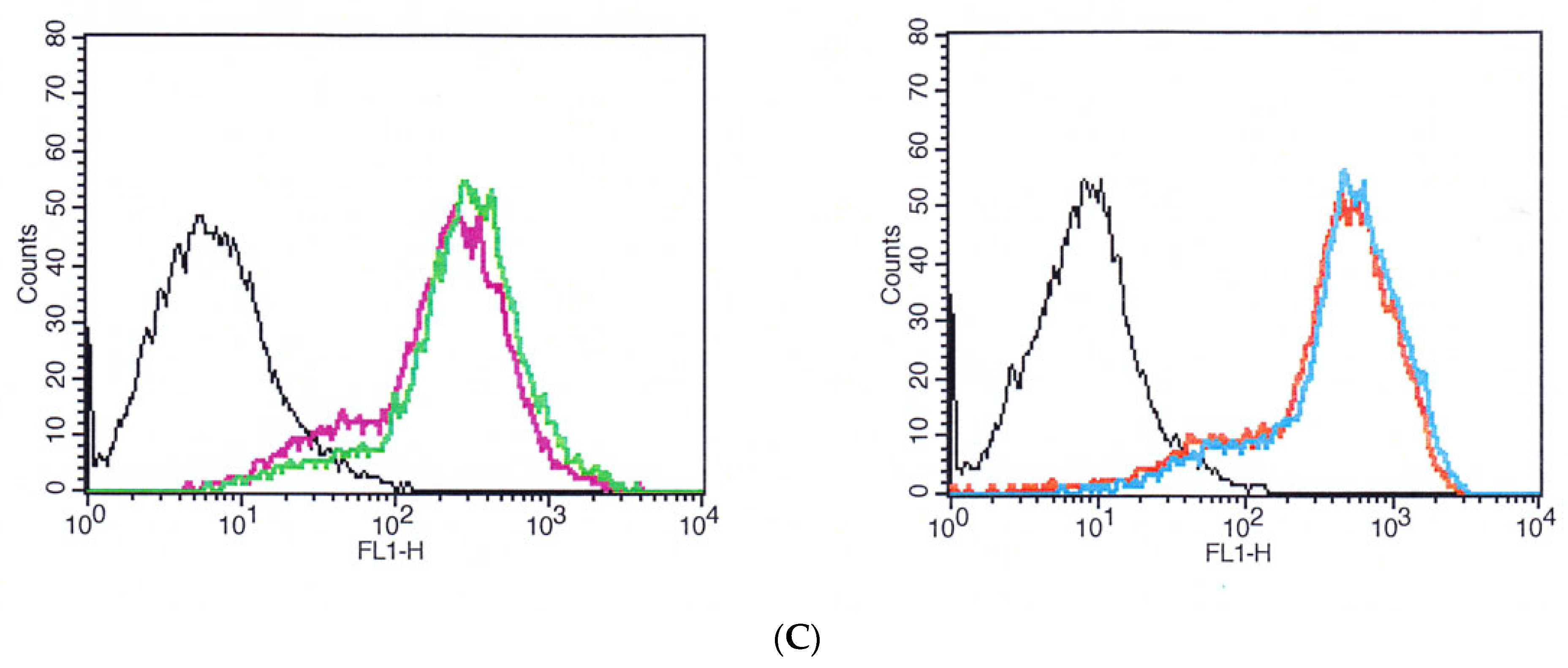 Materials 14 07686 g005b