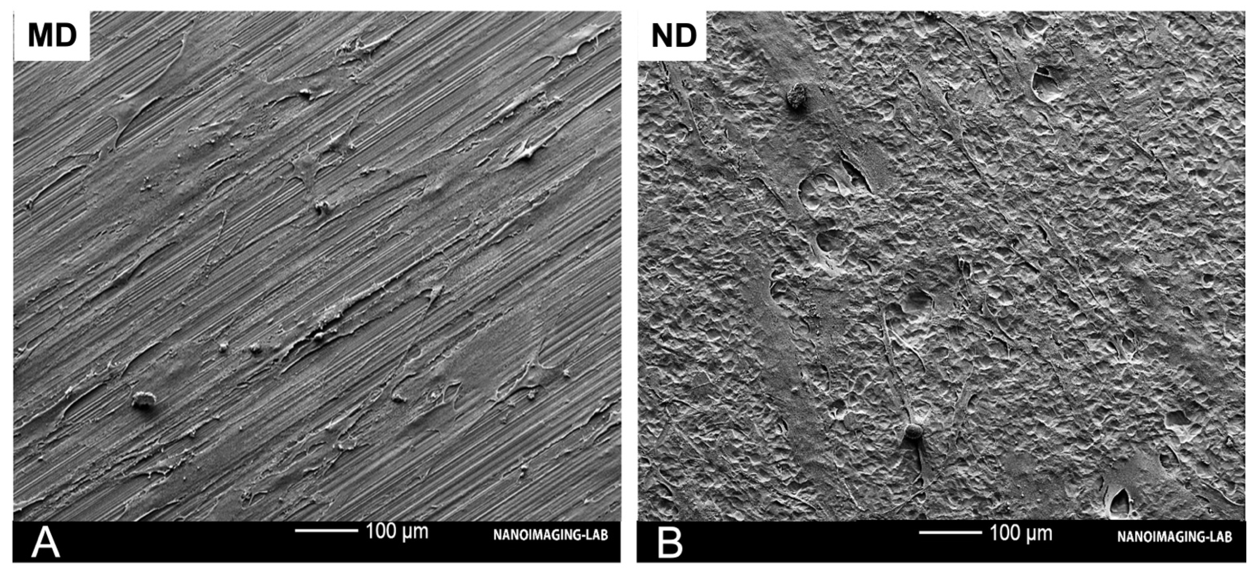 Materials 14 07686 g006