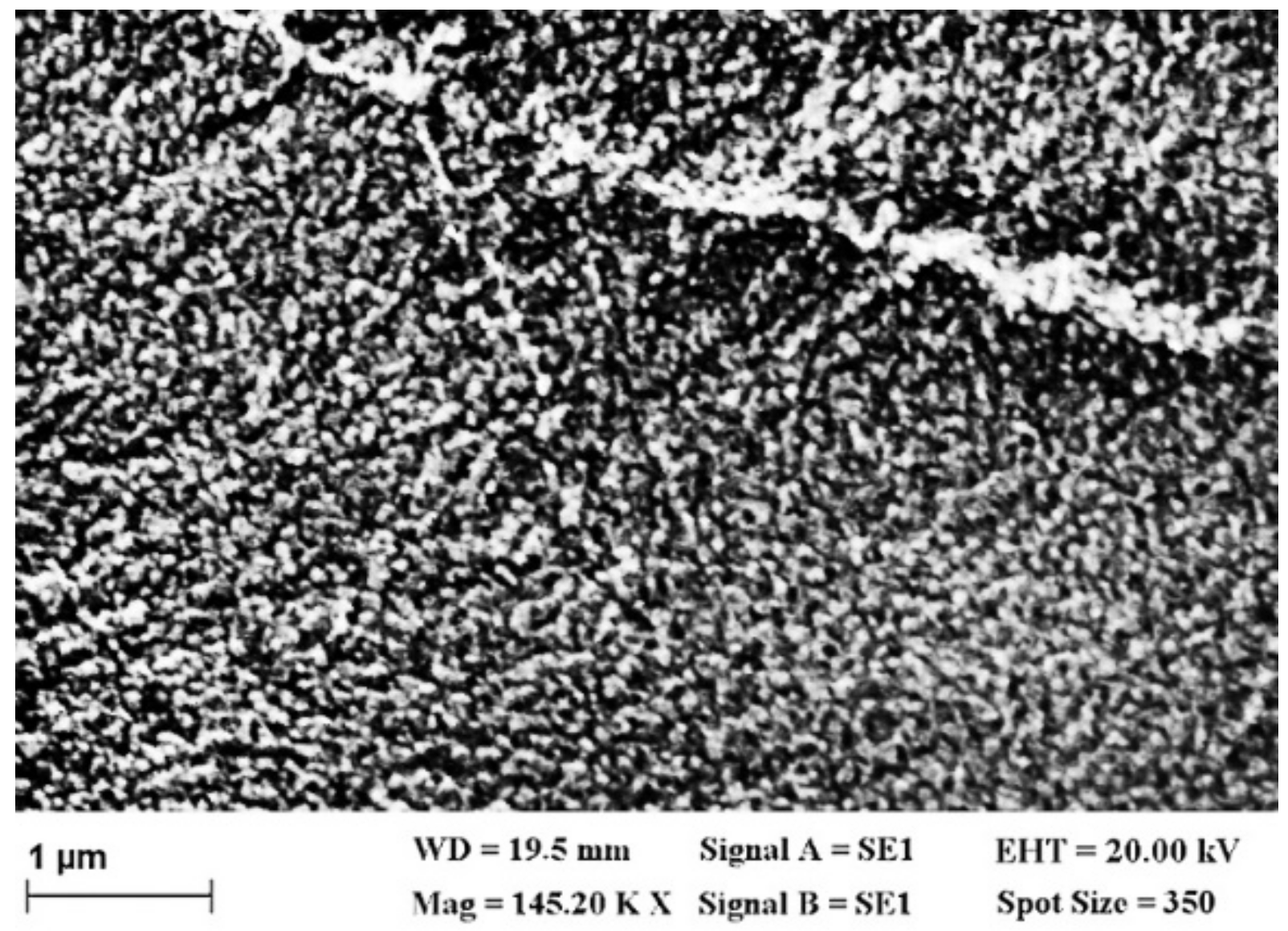 Materials 14 07688 g002