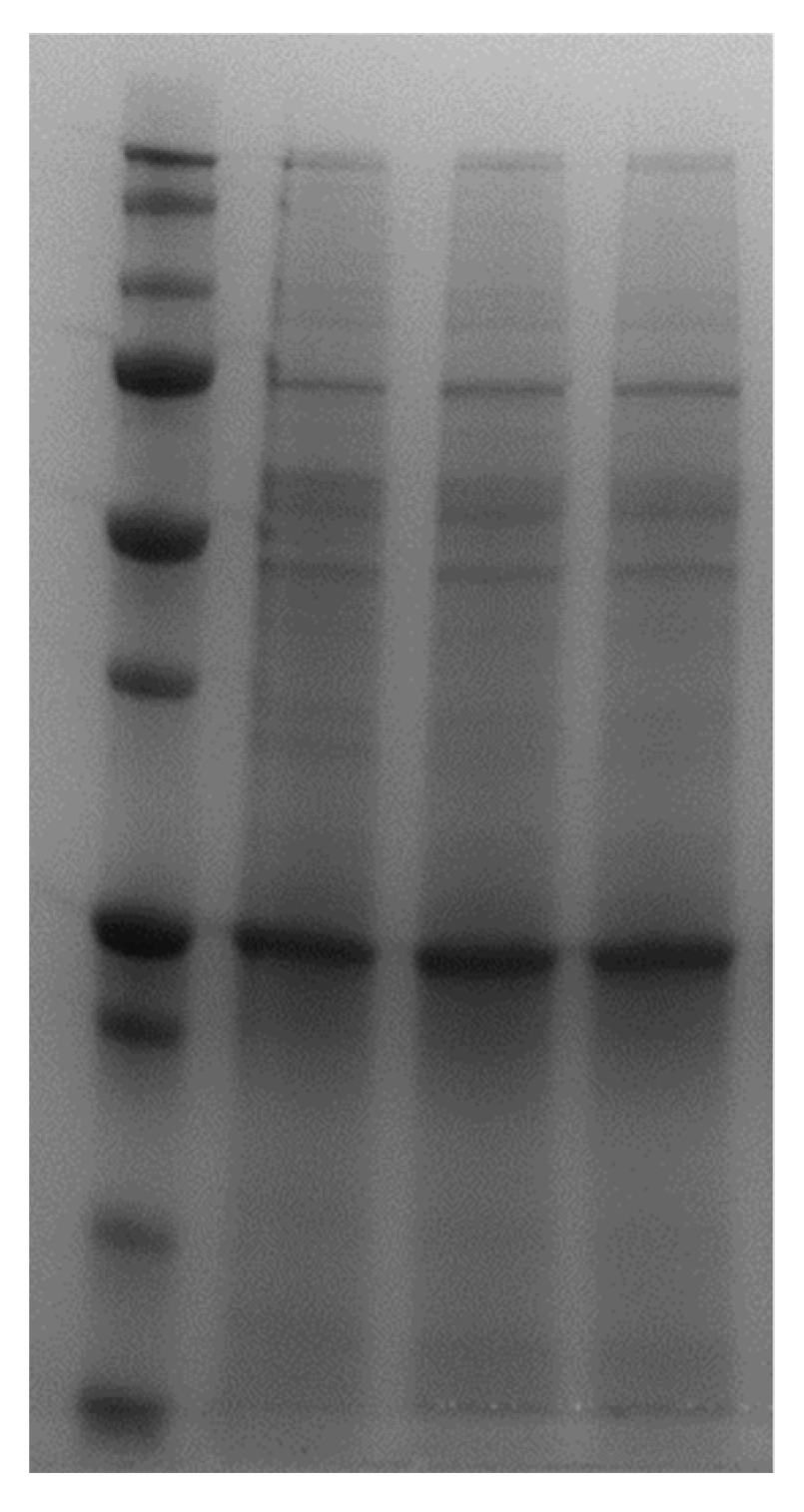 Materials 14 07692 g006