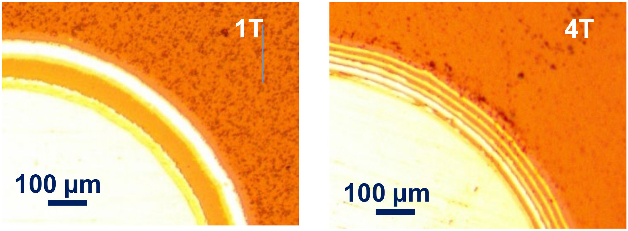 Materials 14 07694 g001 550