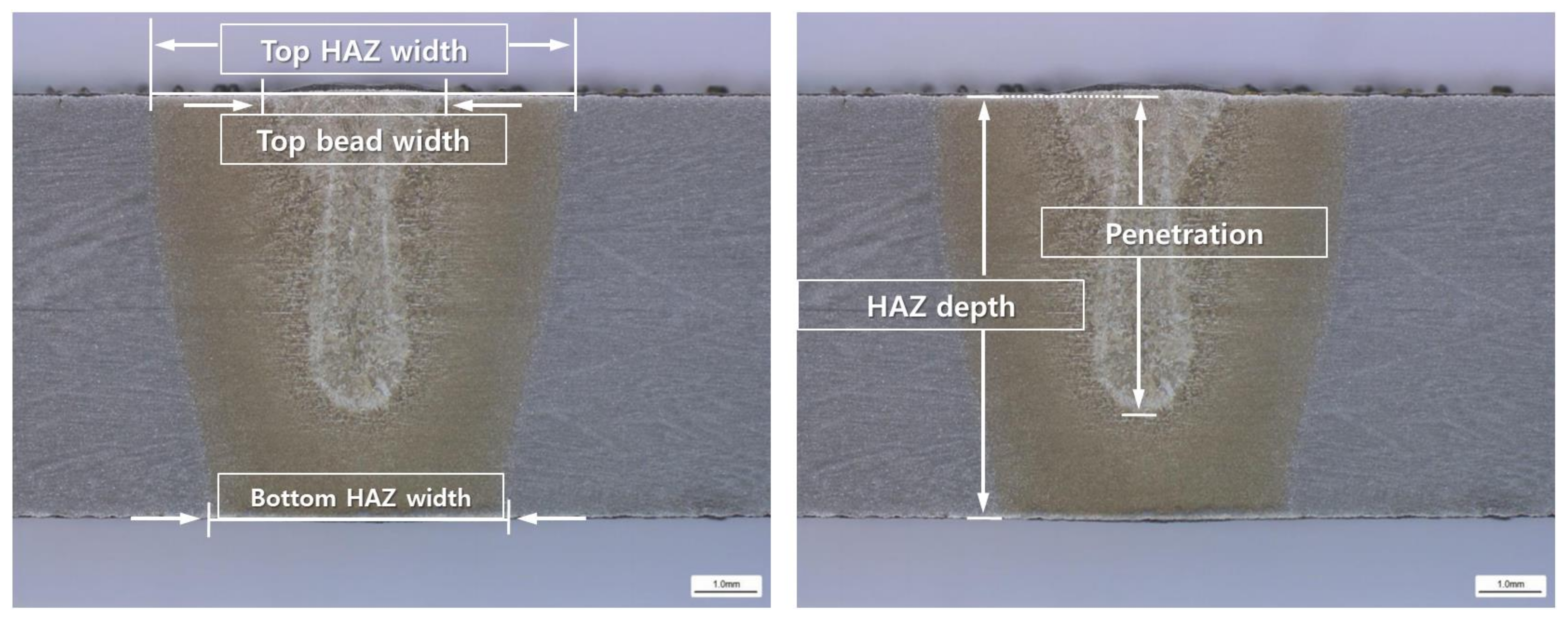 Materials 14 07699 g003