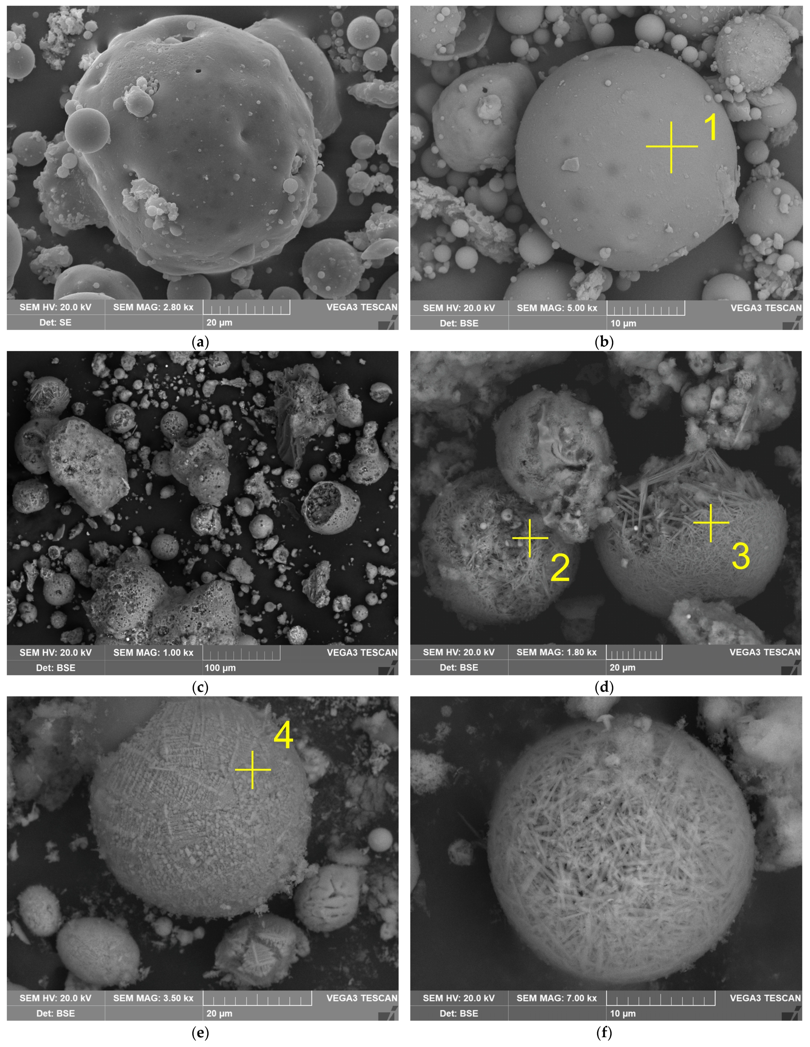 Materials 14 07700 g004 550